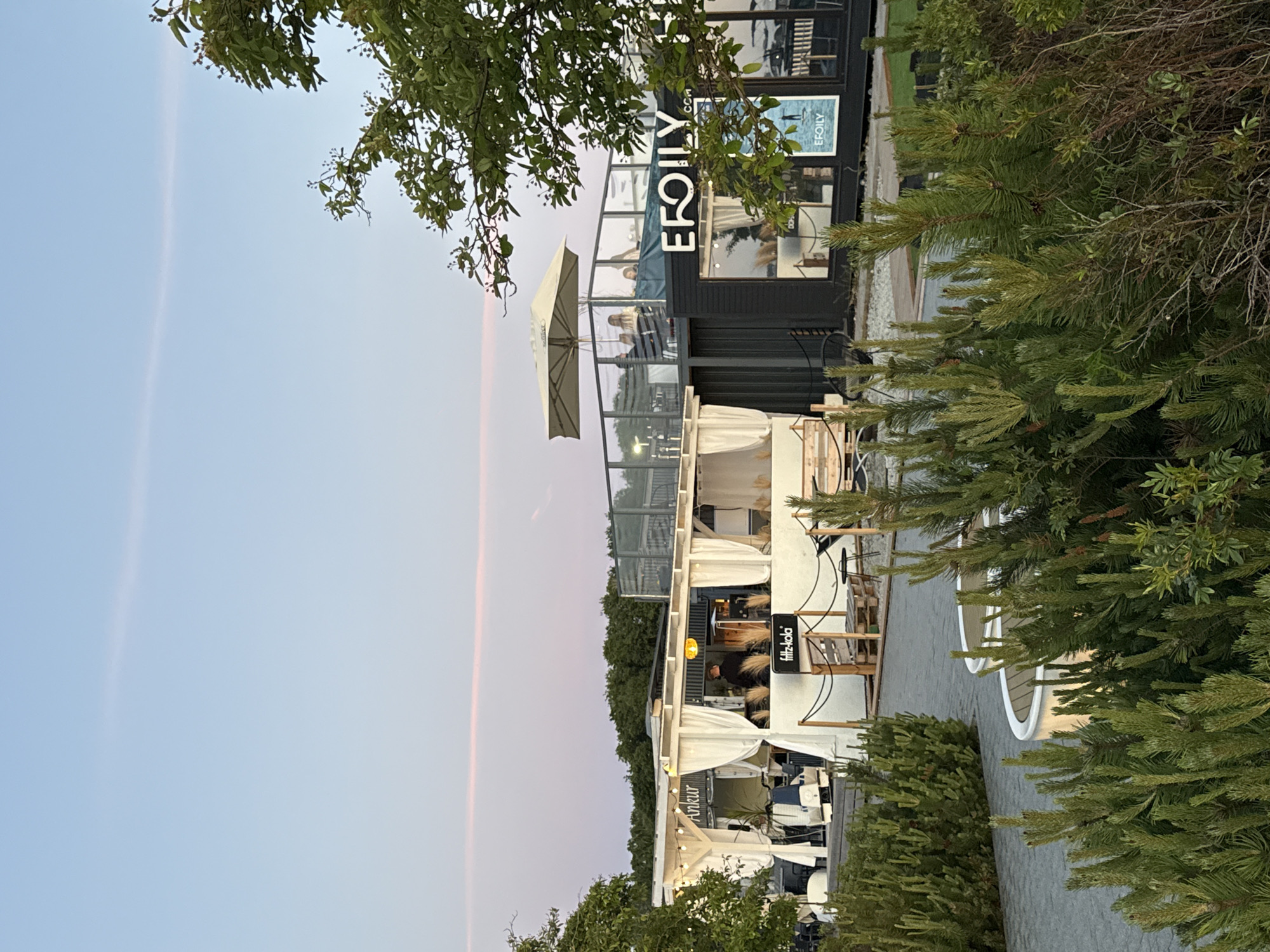 The image depicts an outdoor seating area and a building with signage in Tallinn, Estonia. The scene is set against a twilight sky with subtle pink and blue hues. In the foreground, lush green bushes and pine branches partially obscure a paved walkway. Beyond the bushes, there is an outdoor seating area with white fabric curtains draped around a structure, and several wooden benches. A sign with "Ankur" is visible on this structure. To the right, a modern, dark-colored building features large glass windows and a prominent sign that reads "EFOILY.COM". People are seated at tables on an elevated patio area on top of this building, with a large umbrella providing shade. The overall impression is of a contemporary waterfront establishment.