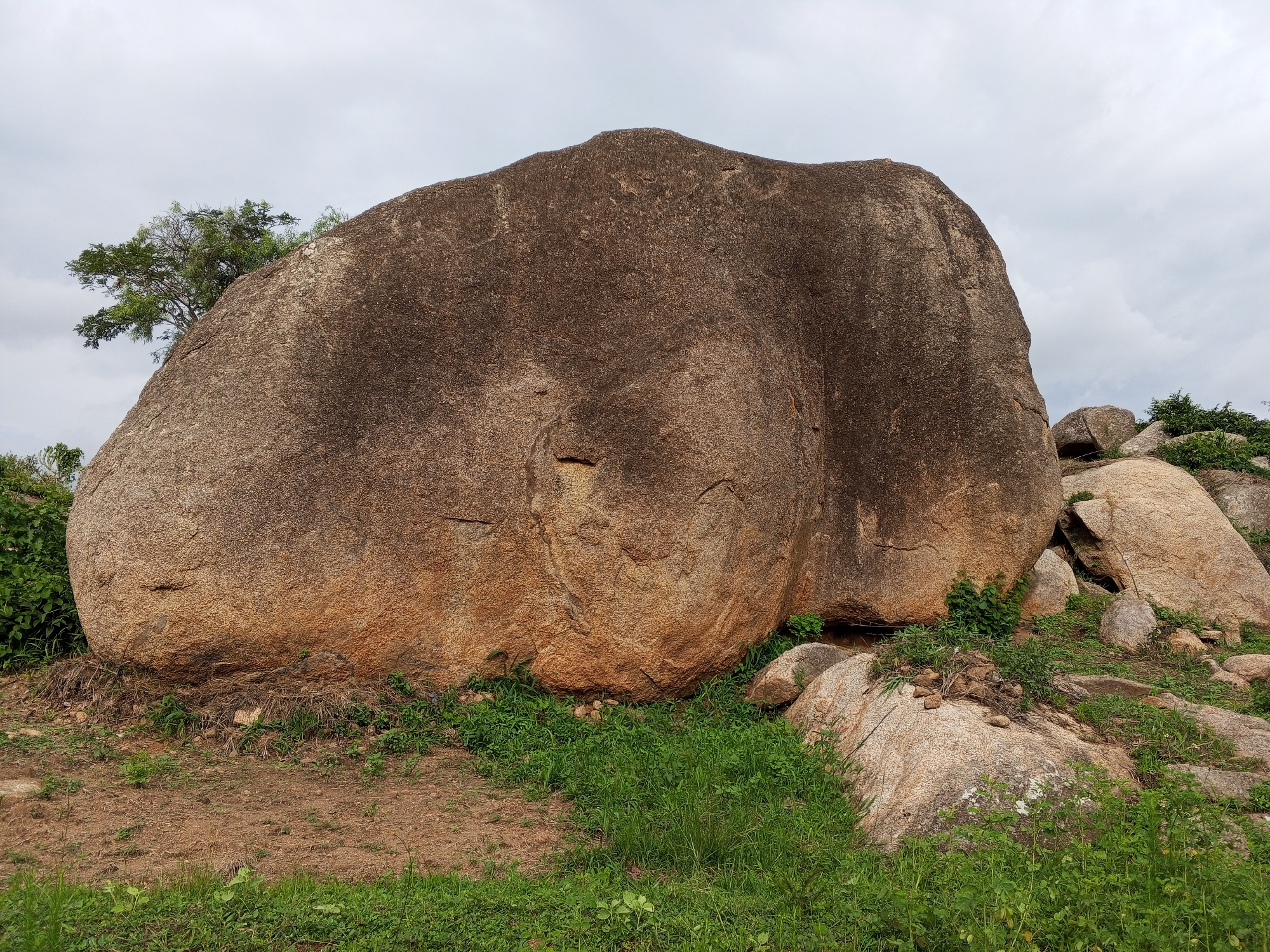 An overcast sky looms over a rocky landscape in Gwong, Nigeria. The foreground is dominated by a massive, weathered boulder with a smooth, rounded surface and patches of reddish-brown and grey hues. This boulder rests on a bed of dry earth and sparse green vegetation. To the right, a cluster of smaller, lighter-colored boulders are visible, partially covered in green foliage. A lone tree with dense green leaves grows from the left side of the main boulder. The environment appears arid and rugged, characterized by exposed rock formations and scrubby plant life.