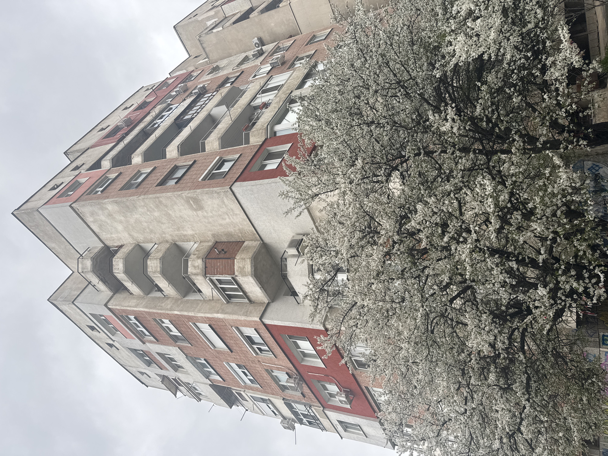 An upward-angled shot reveals a high-rise apartment building adjacent to a tree in full bloom, likely located in Sofia, Bulgaria. The building features a concrete structure with alternating sections of brick and red paint. Windows are arranged in a regular pattern, interspersed with balconies. Numerous air conditioning units are visible on the building's facade. The tree on the right side of the frame is covered in white blossoms. The sky overhead is overcast.