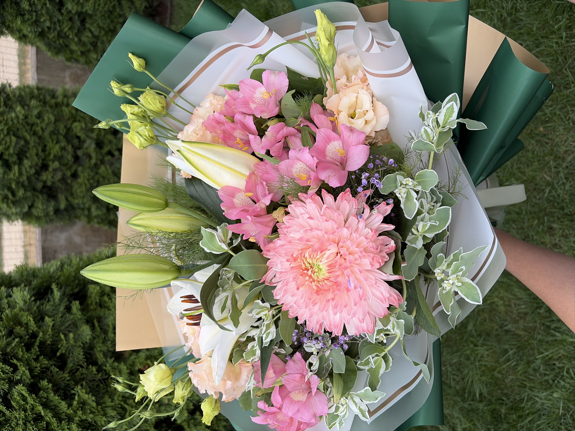 A person is holding a bouquet of flowers outdoors. The bouquet is comprised of various pink and white flowers, including large chrysanthemum-like blooms and lilies, interspersed with greenery. The flowers are arranged in a rounded shape and wrapped in layers of green and light-colored paper. Behind the bouquet, a lush green hedge or row of trees is visible, suggesting an outdoor setting. The ground in front of the bouquet is covered in grass. The overall impression is a vibrant and fresh floral arrangement. The location is identified as Oxentea, Moldova, implying this is a snapshot of daily life or an event in that specific place. The image is captured in daylight.