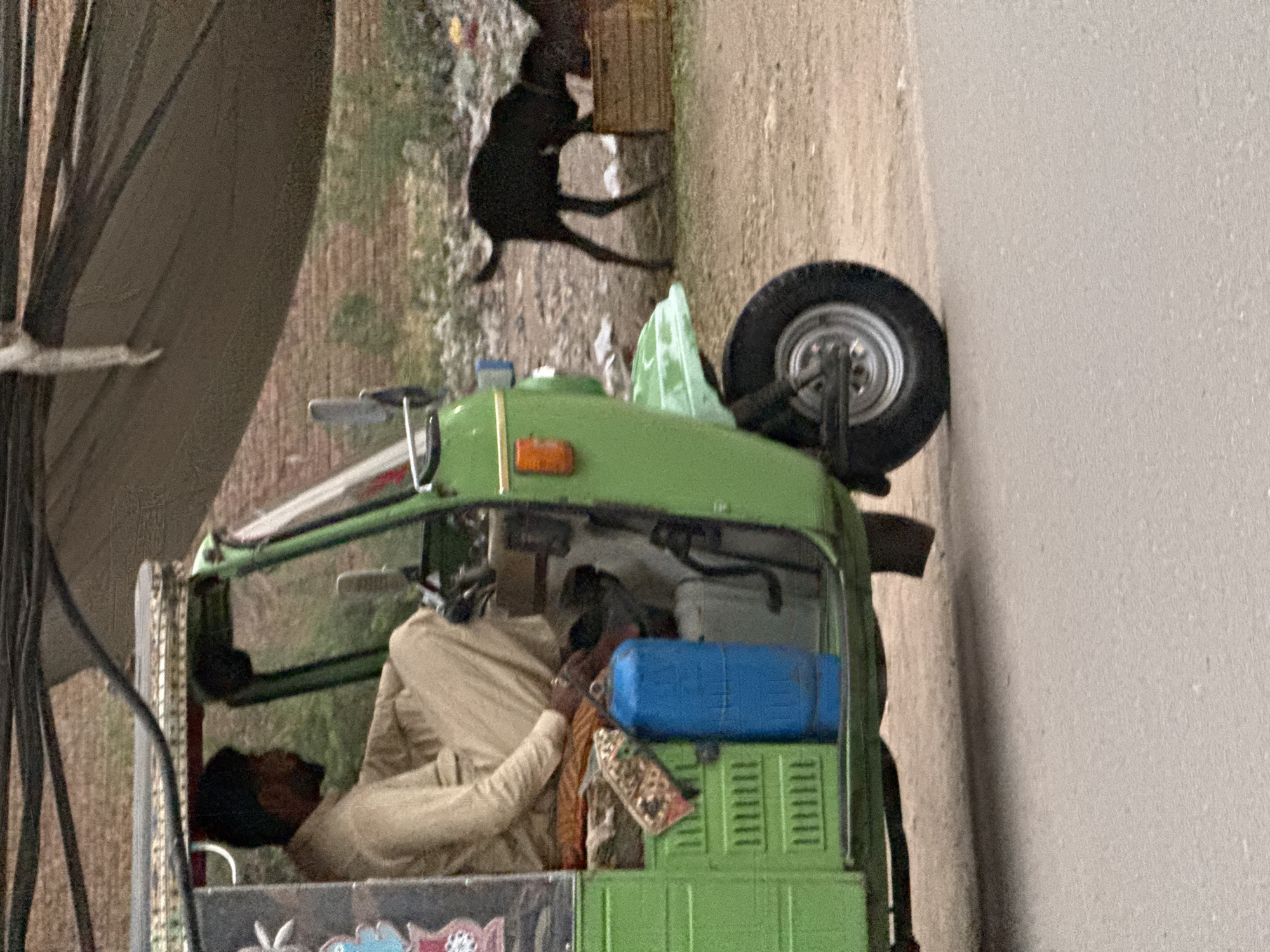 A low-angle, medium-shot photo shows a green auto-rickshaw with a person reclining inside, possibly resting or sleeping. The rickshaw is parked on what appears to be a roadside or urban environment. The person inside is wearing light-colored clothing. On the back of the rickshaw, a blue container is placed on top of the green body, next to a patterned piece of material.
A spare tire is mounted on the rickshaw. A black dog is next to the rickshaw. The ground around the rickshaw appears to be partially paved and somewhat littered. The background is a mixture of structures and possibly greenery, providing an indistinct urban backdrop.
