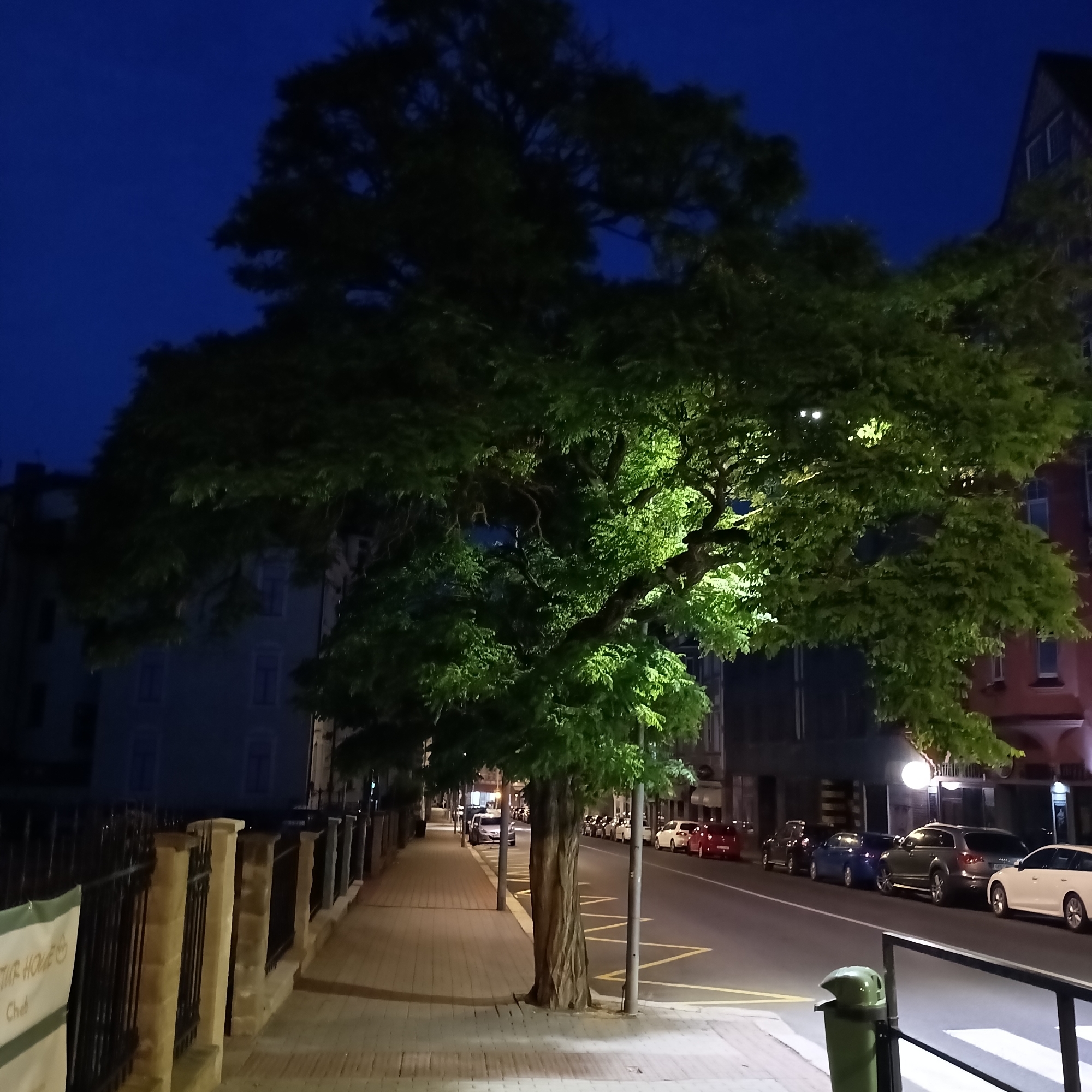 An exterior, eye-level, medium shot captures a street scene at dusk or night in Cheb, Czechia. A large tree with illuminated foliage dominates the foreground, its trunk gnarled and textured. The tree's branches extend over a brick sidewalk. Across the street, a row of parked cars is visible, including a white sedan, a red hatchback, and several other vehicles. Buildings line the opposite side of the street, some with visible windows and architectural details. The sky is a deep blue, indicating the late hour. A metal fence with stone posts runs along the sidewalk, separating it from the street. A trash receptacle is positioned near the curb. The scene suggests a quiet urban environment after dark, with the tree serving as a central focal point.