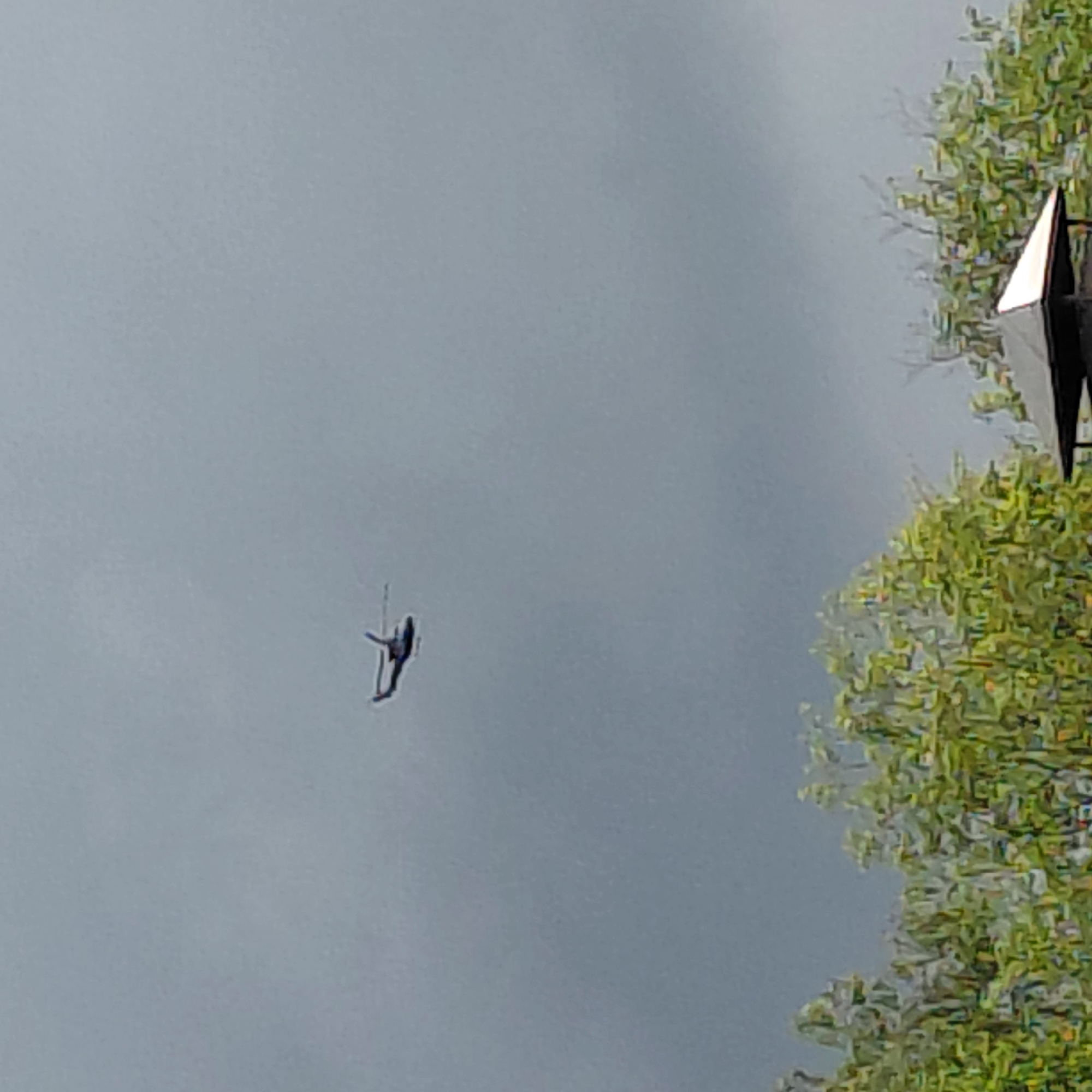 A dark silhouette of a helicopter is visible in the upper portion of a gray, overcast sky. The helicopter is positioned in flight, appearing to be a twin-rotor aircraft with its rotors spread. Below the sky, the upper canopy of lush green trees is visible, with a glimpse of a simple, dark-roofed structure, possibly a gazebo or shed, peeking out from the lower right corner of the frame. The overall scene is natural and outdoor, with the overcast sky suggesting a cloudy day in the Skuķīši, Latvia area.