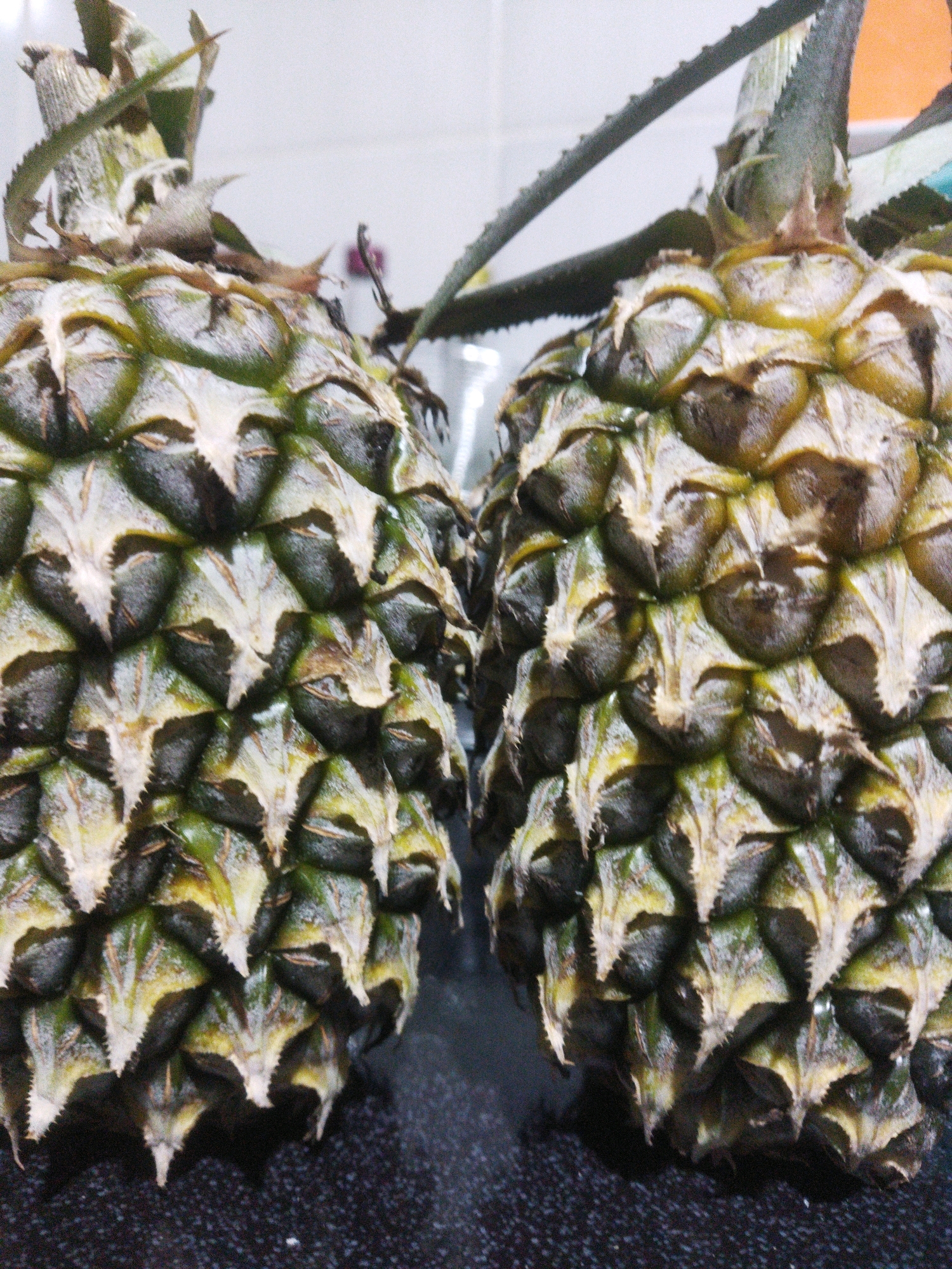 Two ripe pineapples are positioned side-by-side on a dark, speckled surface, likely a countertop. The pineapples are large and appear to be in good condition, with their characteristic spiky green leaves fanning upwards. The outer skin of the pineapples displays a mottled pattern of greens and yellows, with the individual hexagonal segments clearly visible. The lighting suggests an indoor setting, possibly a kitchen in Tarai Bangun, Indonesia, given the context. The background is out of focus, showing hints of white and possibly some blurry objects, but offers no specific identifying details about the location within the city.