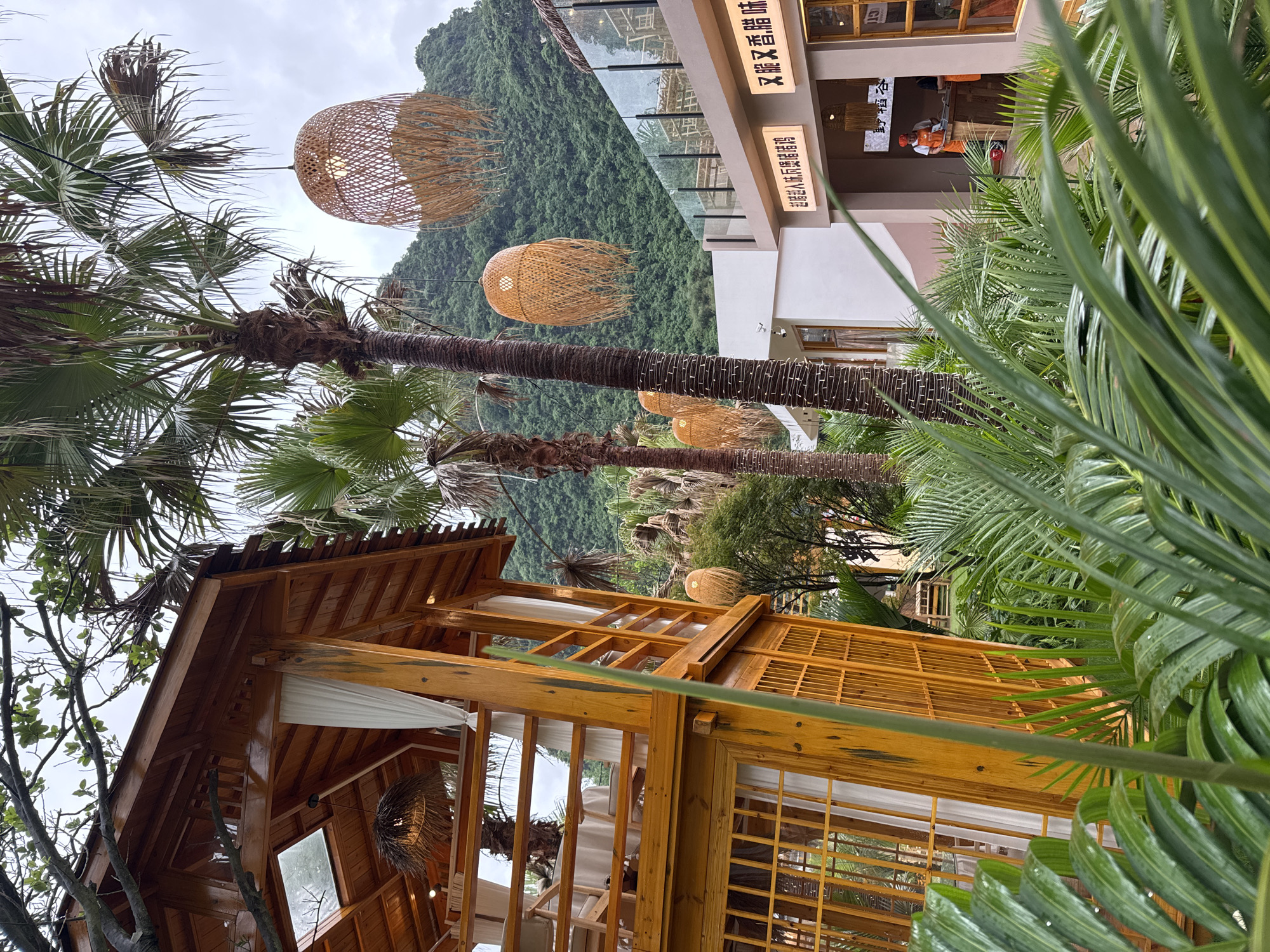The image is a medium-shot of an outdoor scene in Guilin, China. A two-story wooden structure with a sloping roof and large windows is visible on the left side of the frame, with sheer white curtains hanging inside. Wicker lamps hang from the roof and exterior.
Two palm trees, with their distinctive fronds, extend upwards; more wicker lamps are suspended from their trunks. In the background, a lush green mountain covered with dense vegetation rises. A modern building is positioned behind the trees, with signage in Chinese visible on its side.
A person wearing an orange shirt and a red hat is seen inside the modern building. Lush tropical foliage frames the right side of the image. The sky overhead is overcast.