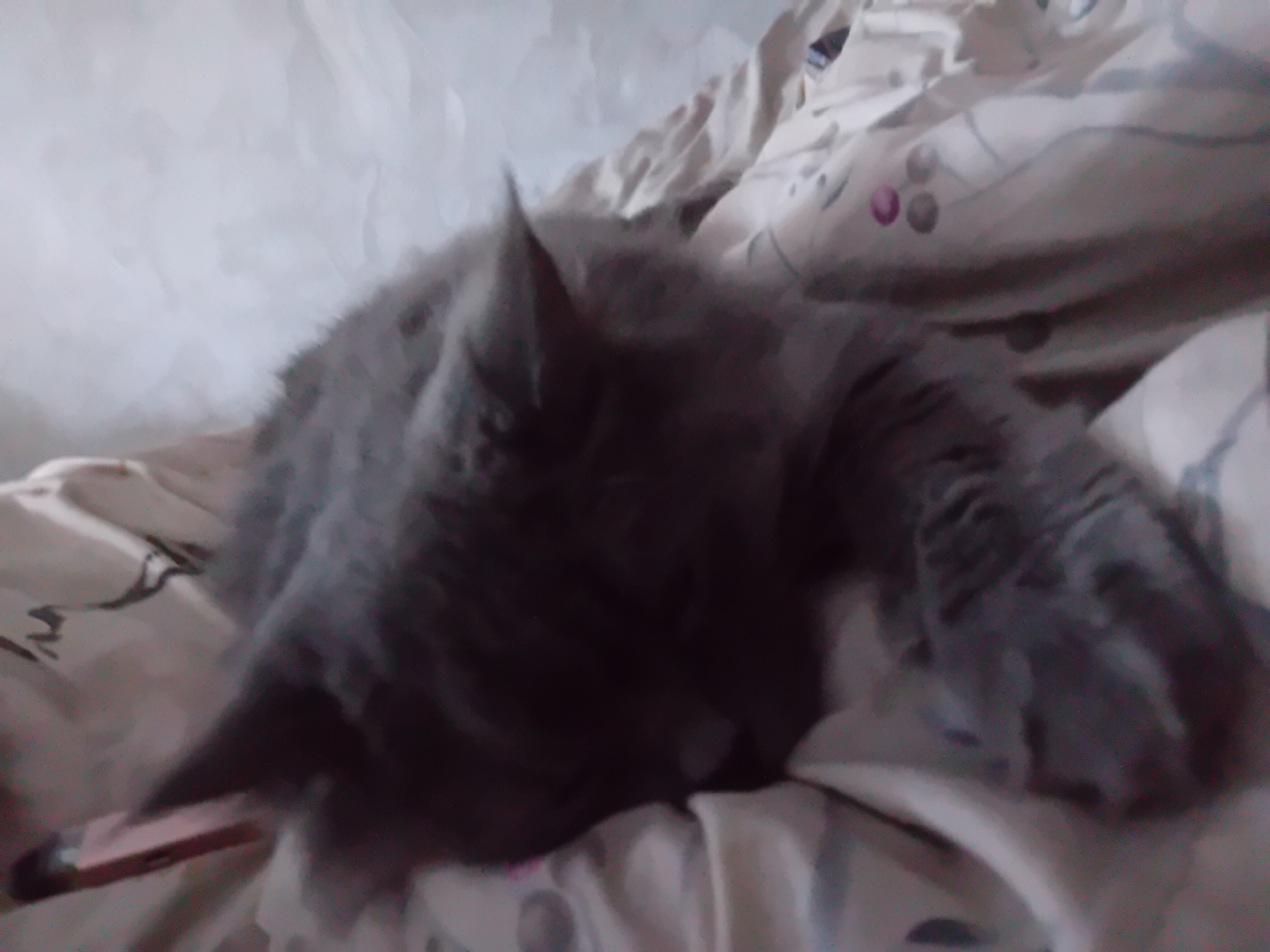 A gray cat is sleeping on a white and cream-colored blanket with a pattern of pink and gray circles and lines. The cat's head is resting on its paws, and its eyes are closed. The cat appears to be comfortable and relaxed. The lighting in the image is dim, suggesting that it was taken indoors. There is no indication of the location in the city of Chuhuiv, Ukraine.