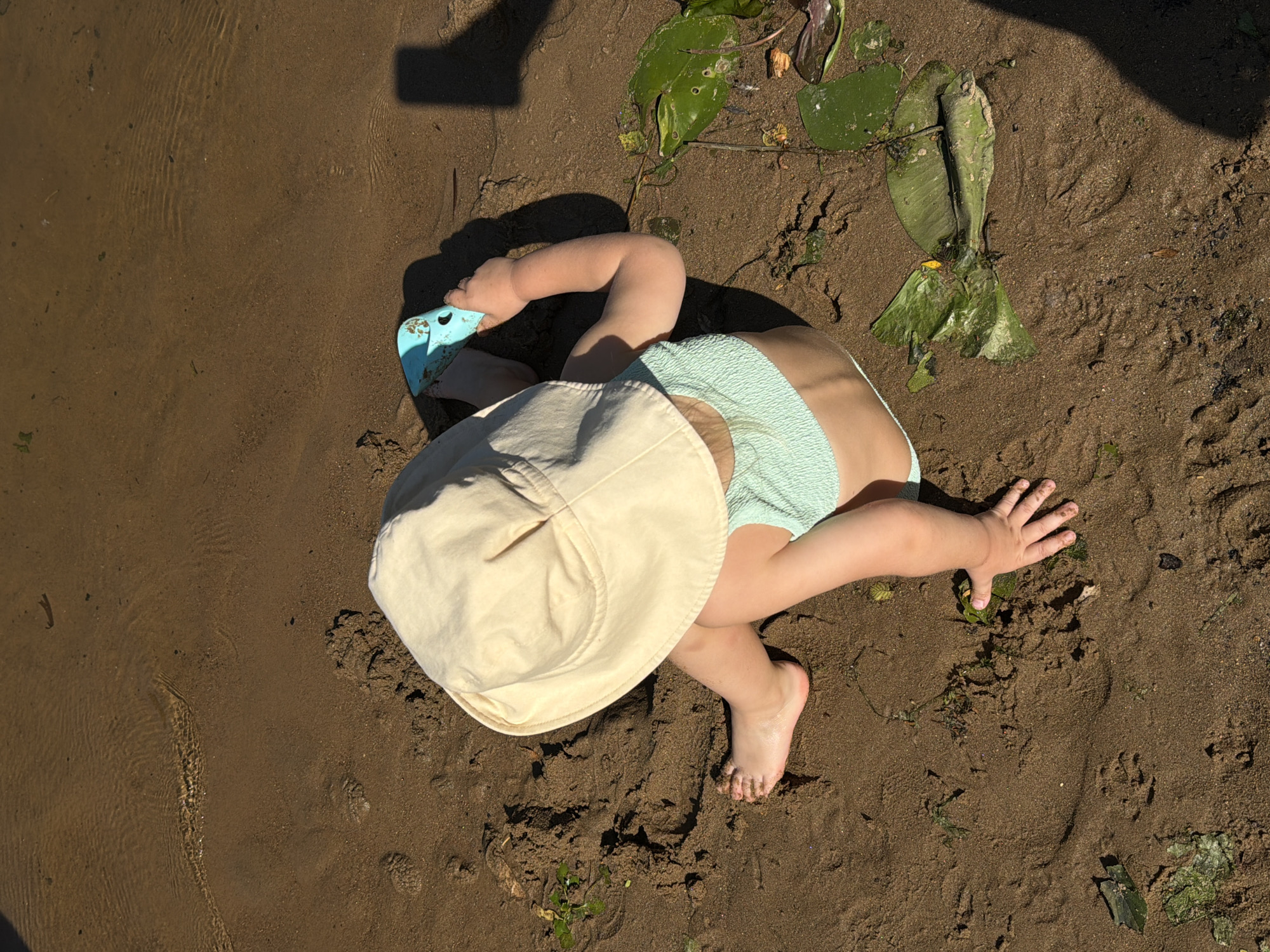 This is an overhead shot of a toddler sitting on a sandy shoreline in Khimki, Russia. The toddler is wearing a light-colored sun hat and a light blue swimsuit. The child is playing with a blue plastic toy in the shallow water at the edge of the sandy bank. Lily pads and other vegetation are visible in the water near the child. The sand is wet and shows ripples from the water. The scene is illuminated by direct sunlight, casting a shadow from an unseen object to the right of the frame.