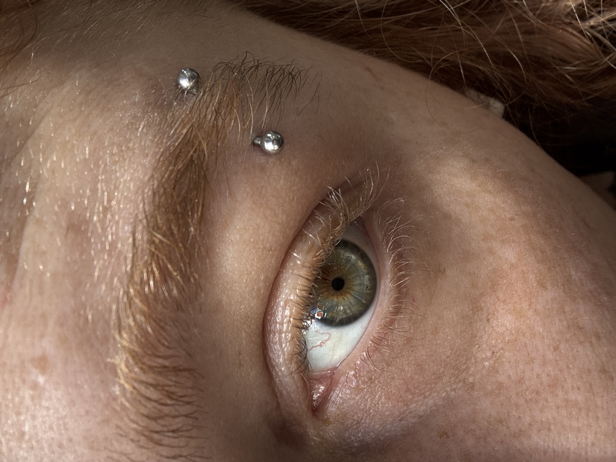 A close-up, high-angle shot captures the left eye and eyebrow of a person, likely in Buenos Aires, Argentina. The image is tightly cropped, focusing intensely on the facial features. The subject has fair skin with visible pores and some freckles or minor skin variations. Reddish-blonde hair forms the eyebrow, which appears full and slightly unruly, and also frames the upper right and left edges of the frame, suggesting it's head hair.
Two silver spherical piercings are visible vertically aligned through the eyebrow. The upper piercing is partially obscured by hair, while the lower one is fully visible. The eye itself is open, revealing an iris with a complex color pattern, appearing primarily green and grey with a distinct brown ring around the dark, central pupil. Reflections of a light source, possibly a window, are visible in the iris and pupil. Long, reddish-blonde eyelashes frame the eye, and the white sclera shows a few fine red blood vessels. The eyelid skin has visible creases and texture.
The shot is static, capturing a moment rather than an action, with the eye seemingly looking upwards or to the side. Bright, natural-looking light illuminates the scene, highlighting the skin's texture and creating reflections on the metallic piercings and the surface of the eye. There is no visible text in the image.
