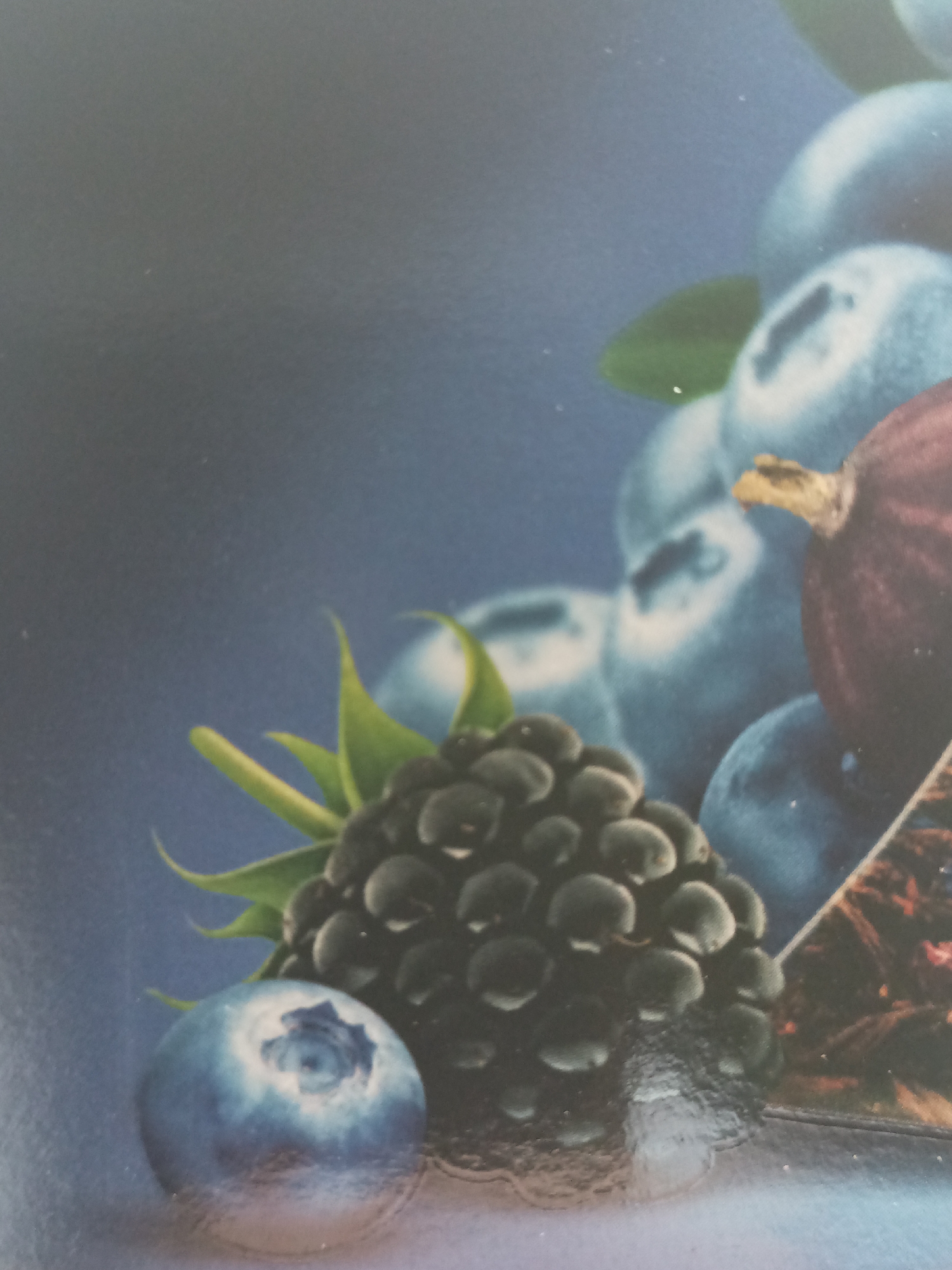 A close-up, overhead shot captures a collection of fresh berries against a dark blue, textured background. In the foreground and slightly to the left, a plump blueberry sits prominently, its surface reflecting light. To its right and slightly behind, a ripe blackberry is displayed with its characteristic drupelets, accented by small, vibrant green leaves. Behind these, a cluster of blueberries are arranged, appearing out of focus due to the shallow depth of field. Further to the right and partially obscured, a single deep red berry, possibly a raspberry or gooseberry, with a small stem, is visible. The overall lighting is soft, highlighting the glossy textures of the berries. The composition suggests a studio shot or a still life arrangement. The image's location is unknown, Unknown.