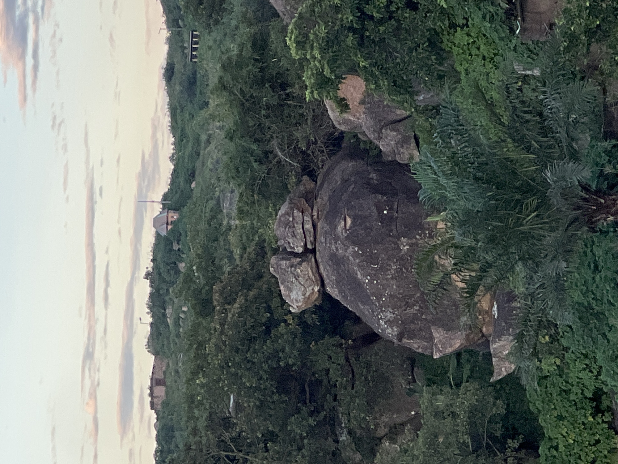 The image depicts a rocky, overgrown landscape with scattered buildings in the distance, likely in the city of Jos, Nigeria. In the foreground, large boulders dominate the scene, with lush green vegetation, including palm trees and dense foliage, surrounding them. The overall impression is one of a natural, somewhat untamed environment that has been partially encroached upon by human settlement. The sky is overcast with soft, muted light, suggesting either early morning or late evening. The presence of what appear to be rudimentary structures on the distant hills indicates a rural or semi-urban setting. The focus is on the natural geological formations and the dense vegetation, with the man-made elements serving as a backdrop to the rugged terrain.