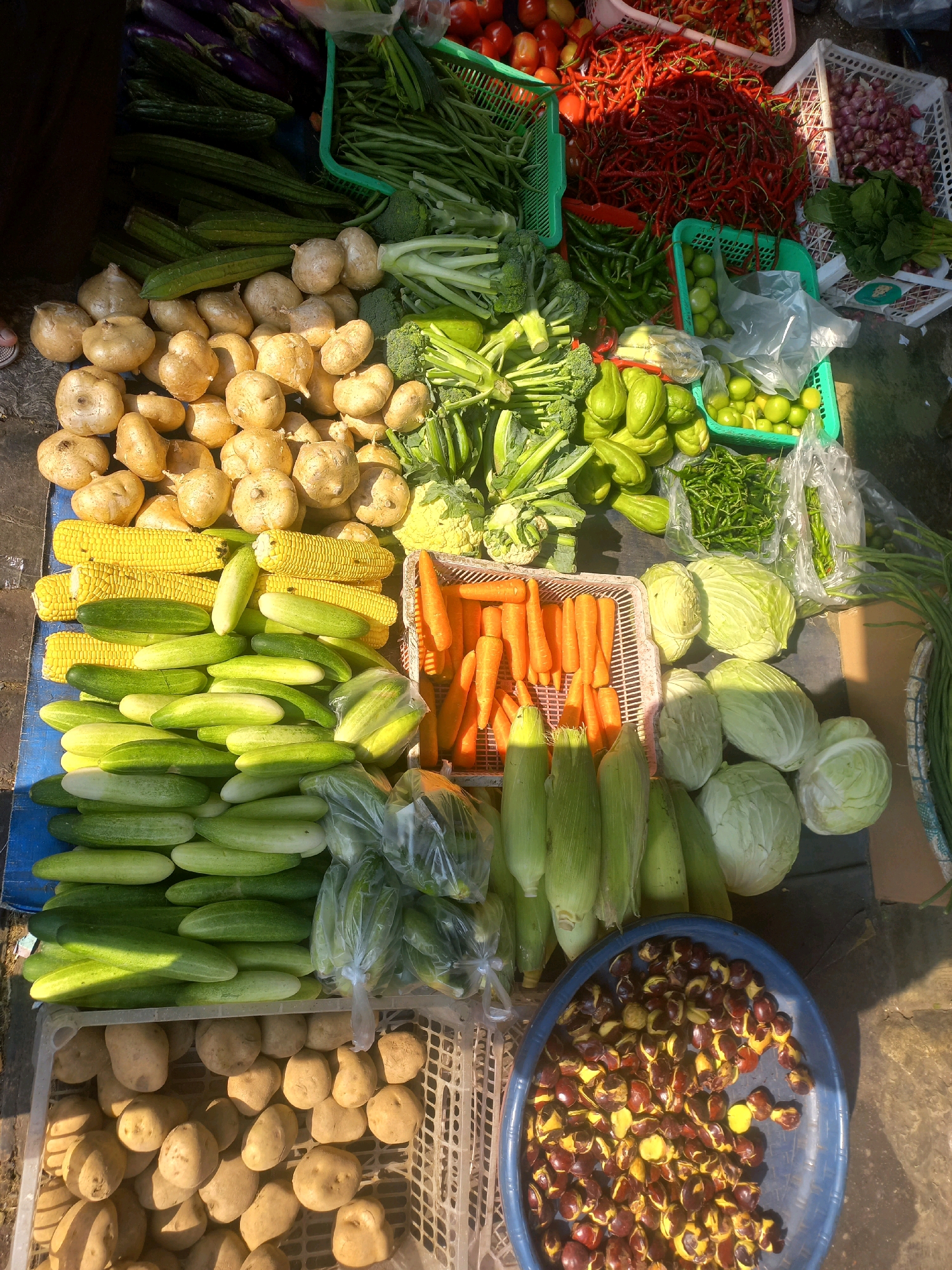 The image depicts a street market scene in Depok, Indonesia, with a variety of fresh produce laid out for sale. In the foreground, a blue basin overflows with jengkol seeds, a common Indonesian delicacy. To the left, a white plastic crate is filled with potatoes. Above the potatoes, rows of green cucumbers are arranged. Further up, corn on the cob is neatly stacked. Various vegetables, including broccoli, cauliflower, cabbage, and carrots, are visible in crates and baskets. In the background, bundles of green beans, red chilies, and other vegetables can be seen. The overall impression is that of a vibrant marketplace with an abundant display of fresh, locally sourced produce.