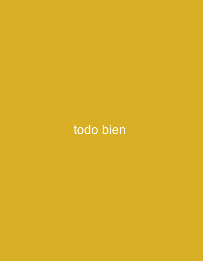 The image features a minimalist design with a solid mustard yellow background. Centered horizontally and vertically on this vibrant backdrop are the words "todo bien" rendered in a clean, white, sans-serif typeface. No other subjects, such as people or objects, are present, and there is no activity or event depicted. The image lacks specific visual cues regarding time of day, weather, or emotions. The sole focus is on the textual message against the uniform colored field. The provided location context is Santa Ana, Venezuela.