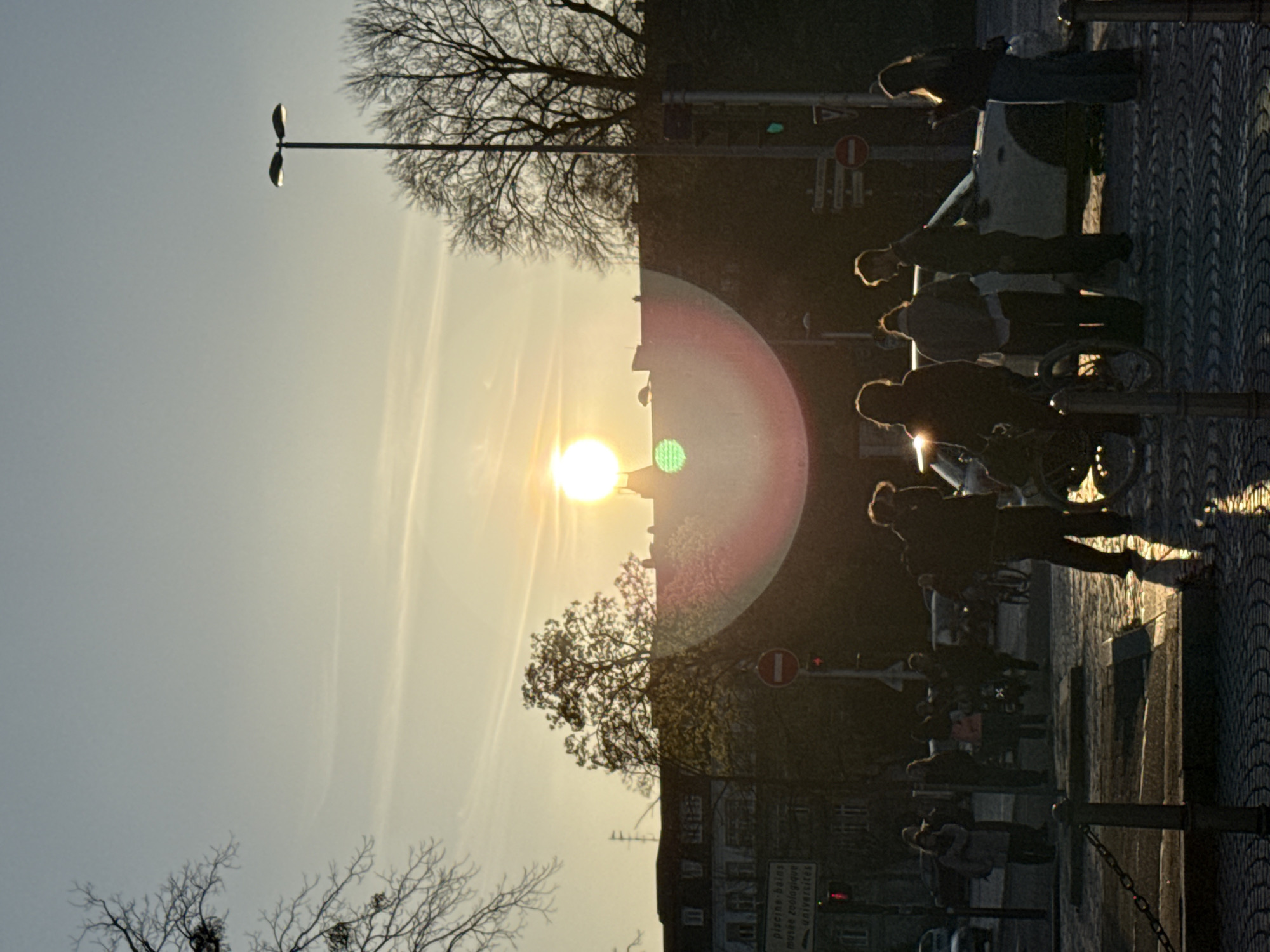 The image depicts an urban street scene in Strasbourg, France, at sunset or sunrise, characterized by strong backlighting. The sun, a bright circular orb, is centrally located on the horizon, casting a significant lens flare with a prominent reddish-orange arc and a green artifact.
In the background, silhouetted buildings with multiple windows and pitched roofs are visible against a sky that transitions from bright yellow-orange near the horizon to a lighter blue-grey overhead. Bare-branched trees, some containing mistletoe-like clumps, frame the scene on the left and right. One tree in the mid-ground displays budding foliage.
On the left, a blue directional sign with white text reads "PISCINE BAINS," "MUSEE ZOOLOGIQUE," and "UNIVERSITE." Below it, a red circular "No Entry" sign and a red traffic light are visible. On the right, a tall, twin-headed street lamp stands beside a tree, and additional traffic signals, including a green traffic light, a "Yield" sign, and another red "No Entry" sign, are present.
The foreground consists of cobblestone pavement and a raised curb area bordered by dark metal bollards connected by chains. Approximately ten individuals are present, mostly in silhouette due to the backlighting. In the mid-ground, a group of five individuals is gathered around a light-colored car, which appears to be parked or stopped. A bicycle is positioned near this group. One person on the far right of this group stands facing left, potentially looking at a mobile device. Others in the group appear to be engaged in conversation. Further left in the mid-ground, additional people are visible walking or standing on a sidewalk.