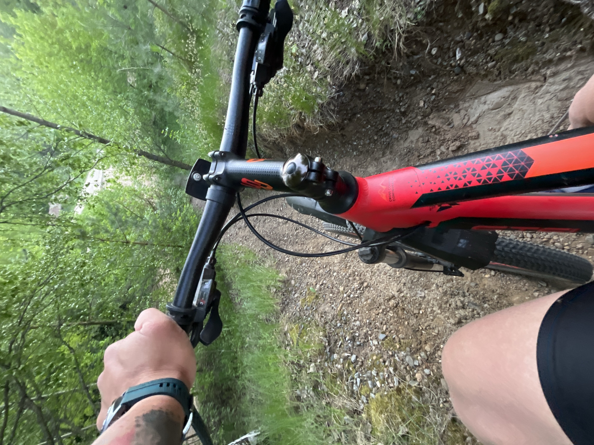 A first-person perspective photograph shows a person riding a bicycle on a dirt path through a wooded area. The bicycle has a red and black frame, black handlebars, and a visible front tire. The rider's left hand, wearing a smartwatch, is on the handlebar. The ground is covered in gravel and sparse vegetation. The background shows green trees and foliage. There is no indication of this image being in the city of Chaikovsky, Russia.