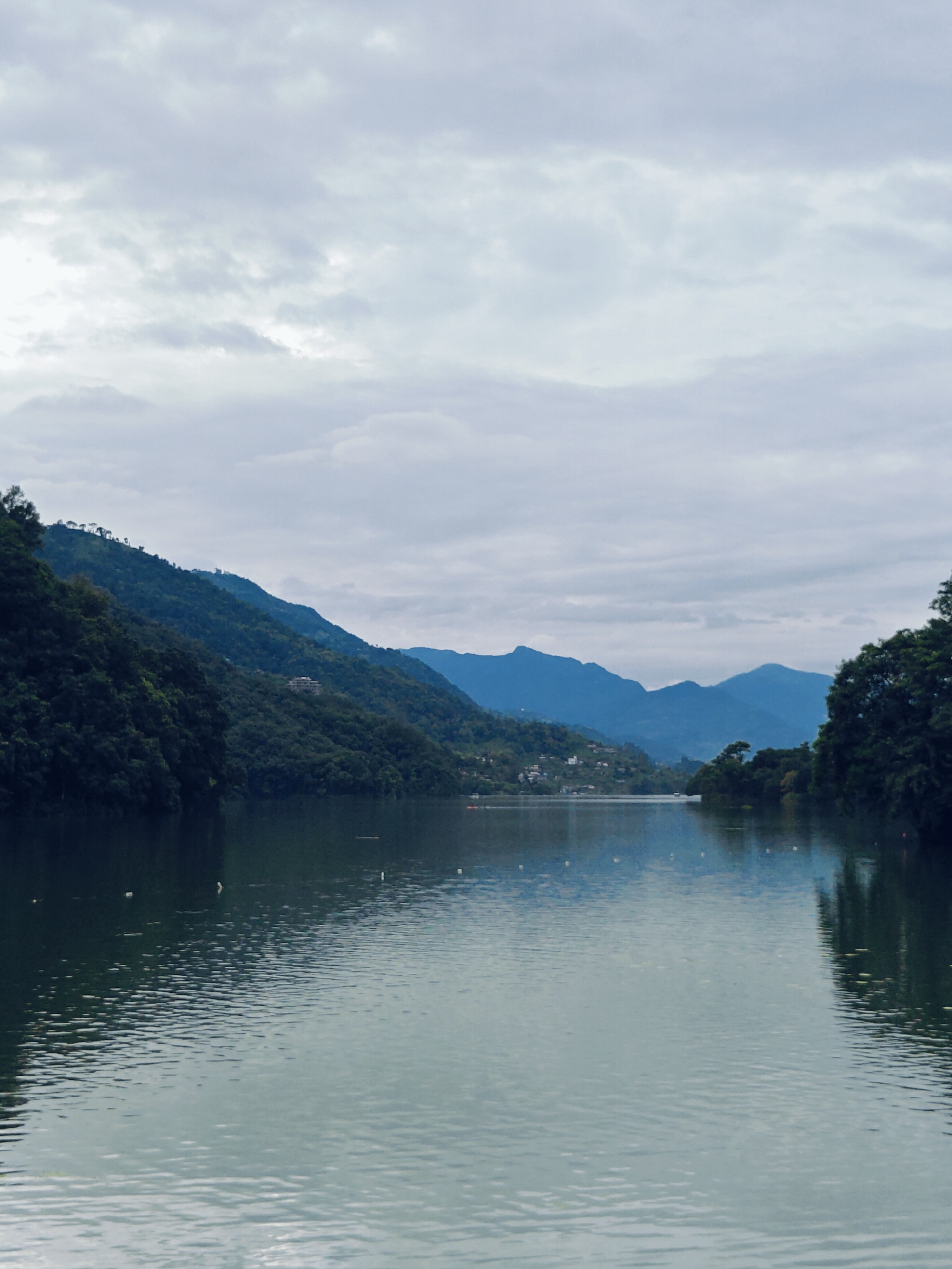 A wide, calm lake is bordered by lush, green mountains on either side and in the distance. The sky is overcast with soft, grey clouds. On the left side of the image, the dark green foliage of trees covers the steep mountainside, with some structures faintly visible amongst the trees. On the right, the trees continue along the water's edge. The water is a deep, reflective green, with gentle ripples disturbing the surface. In the distance, across the lake, more mountains are visible, layered in shades of blue and grey, suggesting depth and distance. Some small, white buoys are scattered on the surface of the lake. The scene evokes a sense of tranquility and natural beauty.