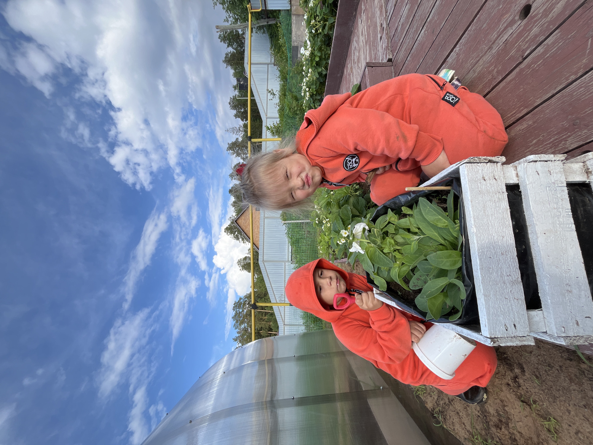 Two young children in orange hooded sweatshirts are gardening outdoors. One child is kneeling beside a white wooden planter filled with green plants and white flowers, holding a pair of pink scissors and a white bucket. The other child is leaning over the planter, looking at the plants. Behind them is a wooden deck and a white picket fence. A greenhouse is visible to the left. The sky is blue with white clouds. The location appears to be in a garden, possibly in the city of Chaikovsky, Russia.