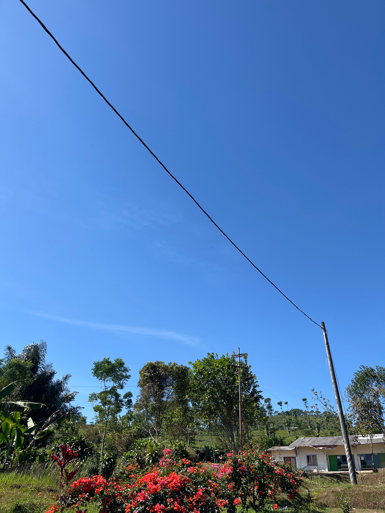 A low-angle, medium shot captures a rural landscape under a clear, bright blue sky. A dark power line stretches diagonally across the upper portion of the frame, attached to a wooden pole on the right. The middle ground is filled with lush greenery, including various trees and a dense cluster of vibrant red and pink flowers in the foreground. To the right, a small, simple house with a light-colored exterior, green doors, and windows is visible. In the distance, a gentle hill is covered with scattered trees. The scene is devoid of any visible people or animals. The image appears to depict a tranquil, undeveloped area, possibly a residential or agricultural outskirts.
