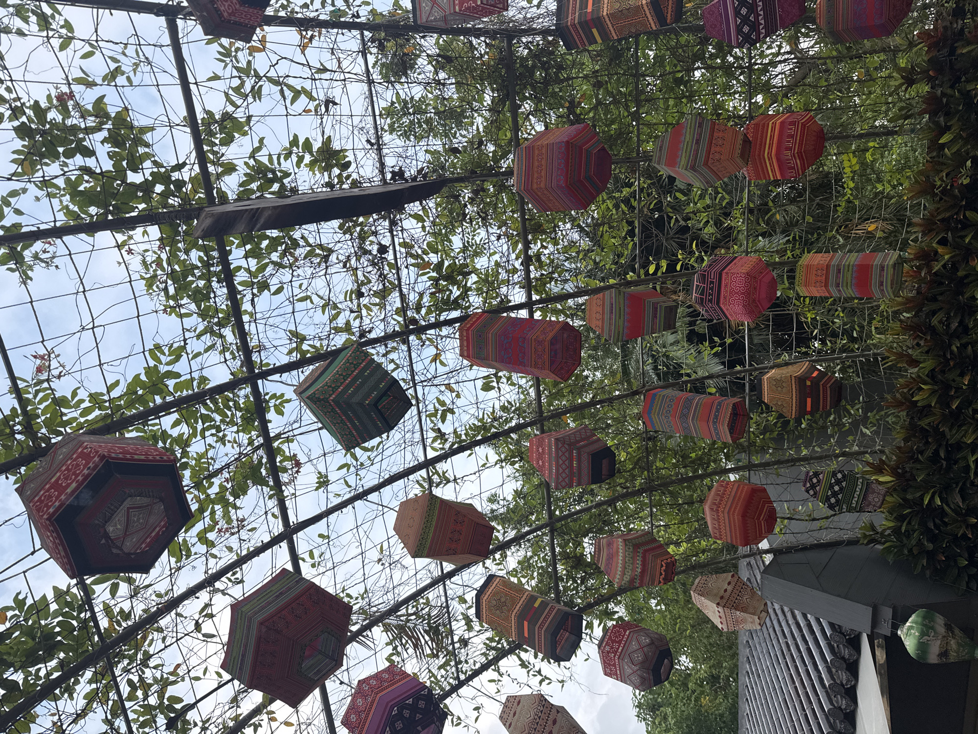 An overhead perspective captures a vibrant display of intricately patterned, multi-sided lanterns suspended from a metal trellis structure. Lush green vines with small red flowers intertwine with the trellis, creating a natural canopy. The lanterns, varying in size and shape, are adorned with a rich tapestry of geometric designs in colors such as red, green, purple, orange, and yellow, with some exhibiting a hexagonal form and others a more elongated, cylindrical appearance. The background reveals a cloudy sky and the silhouettes of trees. In the lower left, a glimpse of traditional Vietnamese architecture is visible, with a dark, tiled roof and a gray, angled wall. The scene is outdoors and appears to be set in a garden or courtyard, potentially in Tây Hoa Lư Ward, Vietnam, given the architectural style and the abundance of tropical foliage. There are no people or animals present in the image.