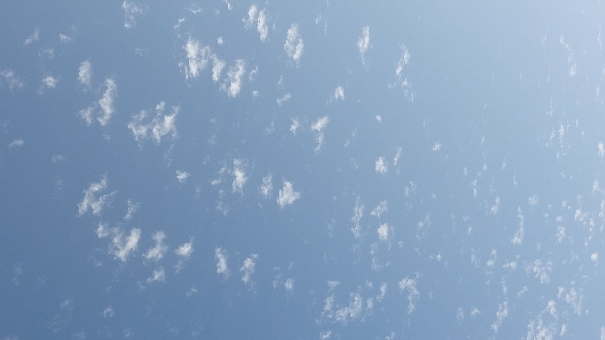 The image shows a clear blue sky with scattered white cumulus clouds. There are no people, structures, or any other objects visible in the image. The clouds are small and wispy, indicating fair weather conditions. The lighting suggests it is daytime, with the sun likely high in the sky. The scene depicts a typical sky view, with no specific identifiable landmarks or features that would indicate a precise location within Manacor, Spain, or any other city.