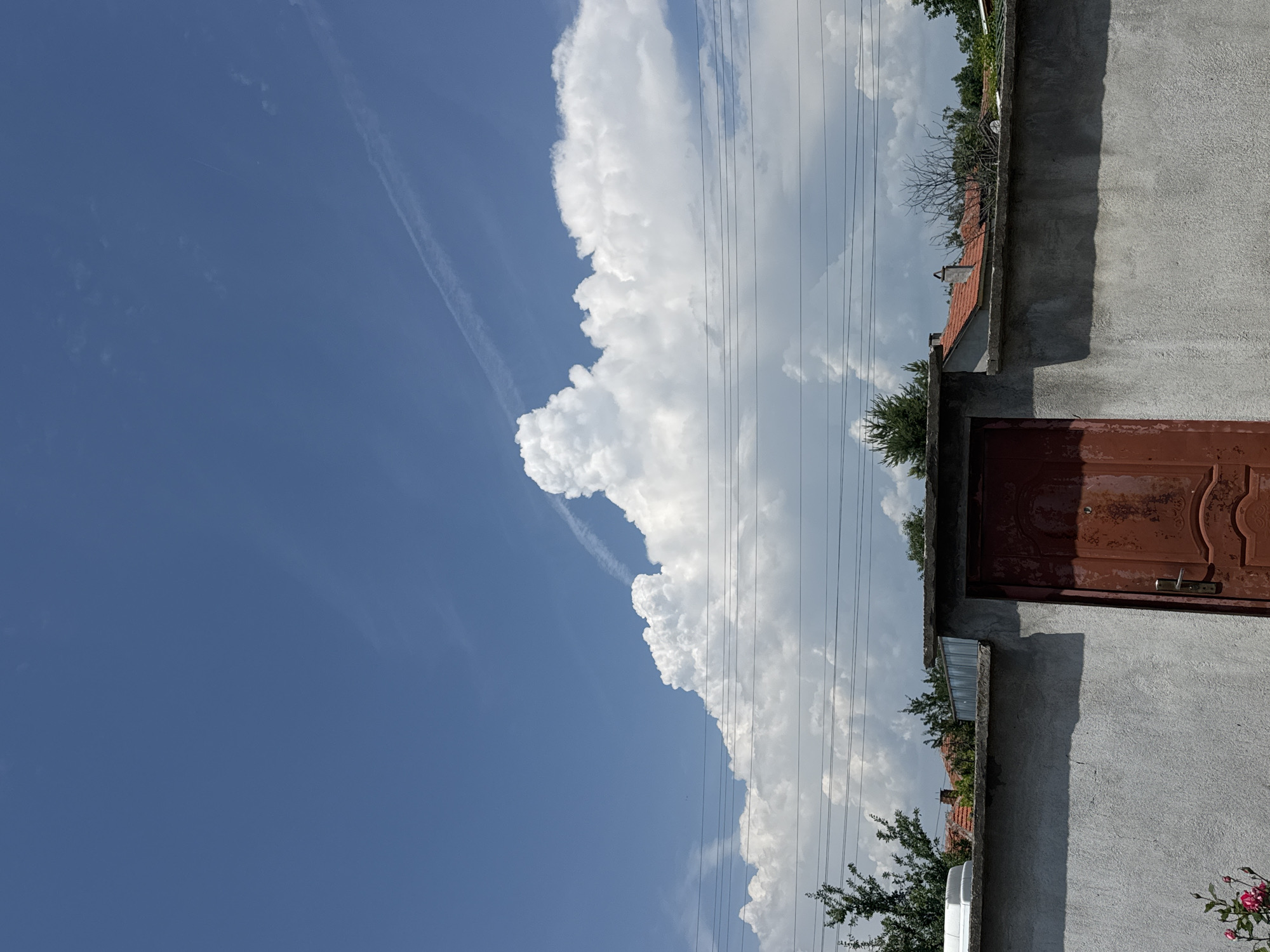 This image depicts a static outdoor scene in Sarnevo, Bulgaria, characterized by a bright, partly cloudy sky dominating the upper two-thirds. The upper sky is clear blue with a faint, white aircraft contrail diagonally traversing the upper right quadrant. Below, large, white cumulus clouds are prominent, forming a dense band across the mid-horizon. Multiple dark power lines stretch horizontally across the mid-ground, passing in front of the clouds and distant foliage.
In the foreground, a textured, light gray concrete or stucco wall occupies the lower third of the frame, exhibiting a horizontal shadow line across its upper section. An aged, reddish-brown metal door with decorative embossing and a silver handle is set into the wall on the right. Below the left side of the wall, a small rose bush with a few pink blossoms is visible. Behind the wall and power lines, green deciduous and coniferous trees are present, partially obscuring red-tiled roofs of residential structures, indicating a populated area. No individuals are depicted in the scene. The overall lighting suggests bright daylight conditions.