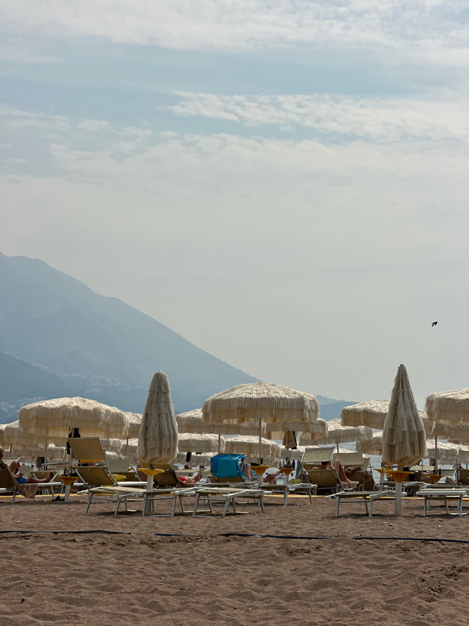 The image depicts a section of a crowded beach in Boreti, Montenegro. Numerous beach umbrellas, some open and some closed, are set up on the sandy shore. Beach chairs are arranged beneath the umbrellas, with several people visible lounging or reading. In the background, hazy mountains rise above the coastline. The sky is overcast with a few wispy clouds. A single bird is captured in flight against the sky. The overall scene suggests a typical summer day at a popular tourist destination.