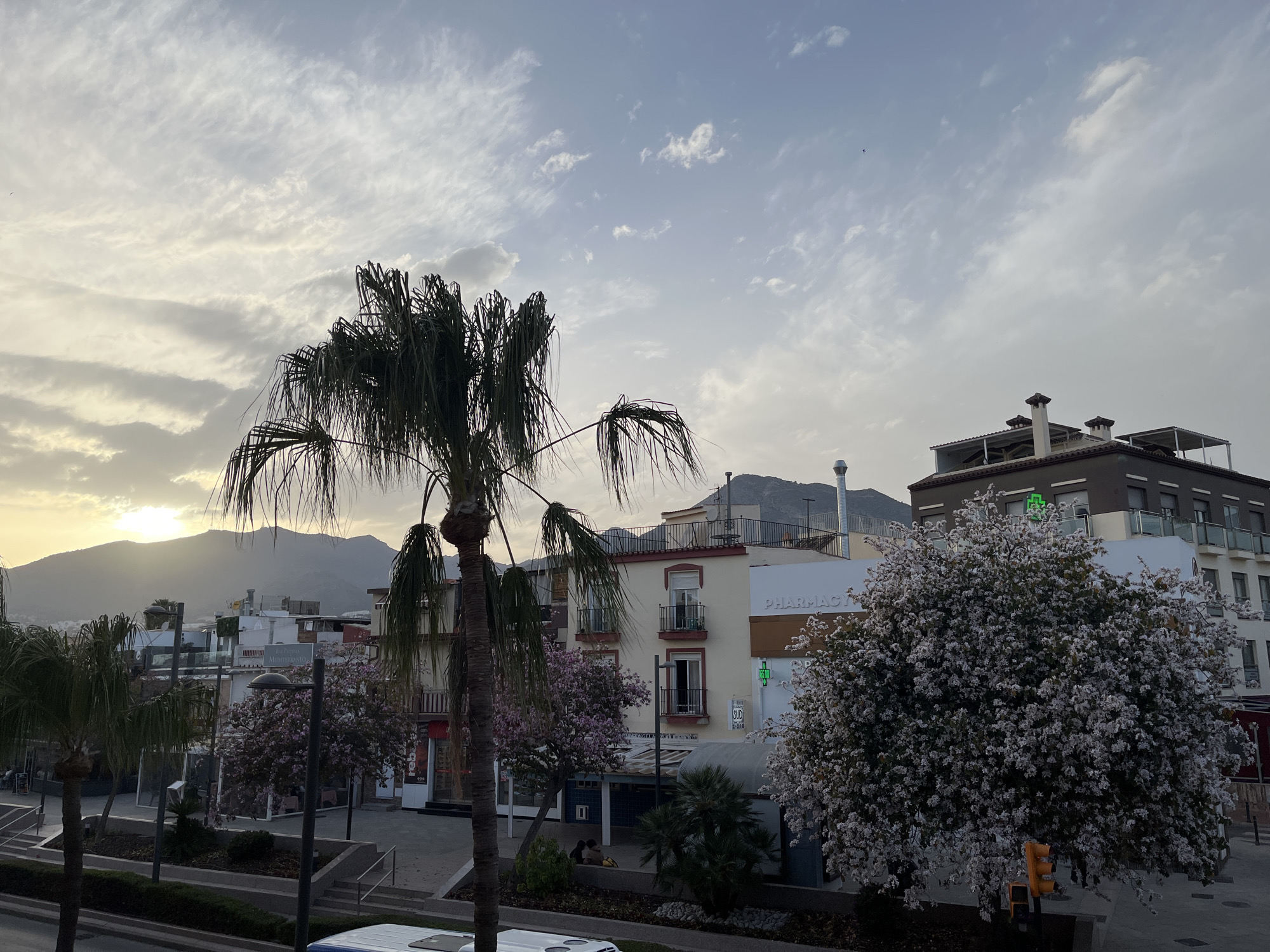 The image shows a street scene in Arroyo de la Miel-Benalmádena Costa, Spain, at dusk. In the foreground, a palm tree dominates the left side of the view. Beyond the palm tree, a row of buildings lines the street. One building has a pharmacy with a green cross symbol on it. A flowering tree with white blossoms is on the right side. Mountains are visible in the background. The sky is cloudy with light visible at the horizon. There are people sitting at the street. There is a traffic light on the sidewalk to the left.