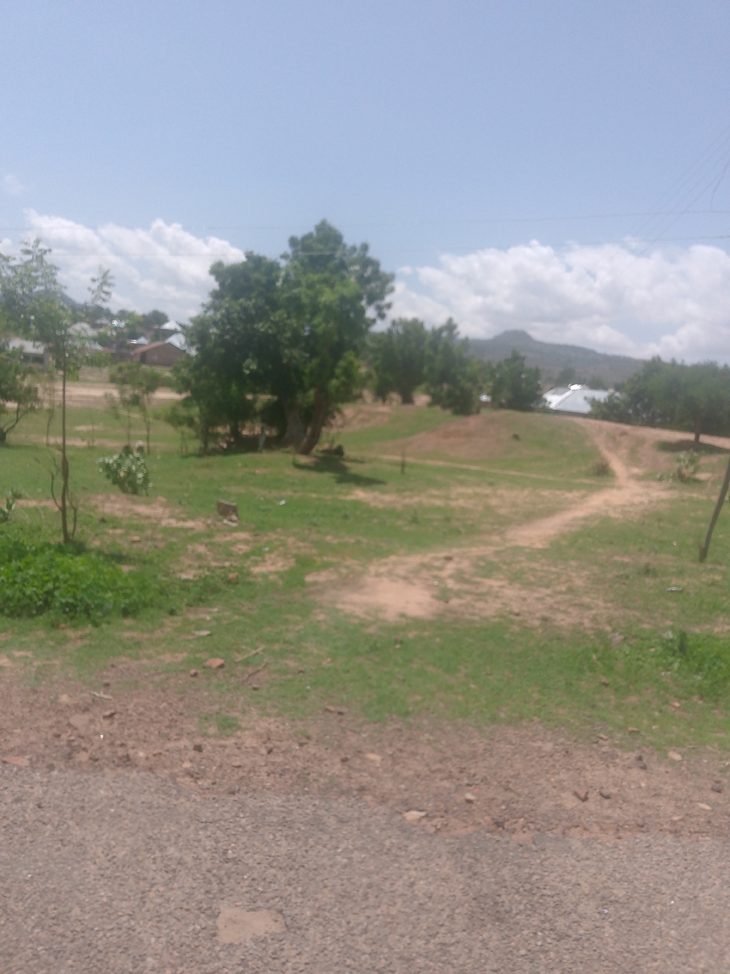 This image depicts an outdoor, rural or semi-rural scene in Balanga, Nigeria, under a bright, partly cloudy sky. The foreground features a light brown to gray gravel path, transitioning to a strip of reddish-brown dirt and sparse green grass. The midground consists of an expanse of uneven terrain, with patches of dry, reddish-brown dirt intersected by worn footpaths and areas of green grass. Several trees are scattered across this section, including a slender tree with some foliage on the left and a larger, densely foliated tree towards the center-right. No people or animals are visible, and no specific actions or interactions are occurring. In the background, several single-story buildings with light-colored, possibly corrugated metal roofs are visible amongst trees and vegetation. A range of hills or mountains with a dark, muted green appearance rises in the far background, beneath a light blue sky dotted with scattered white cumulus clouds. The lighting indicates a bright, sunny day.