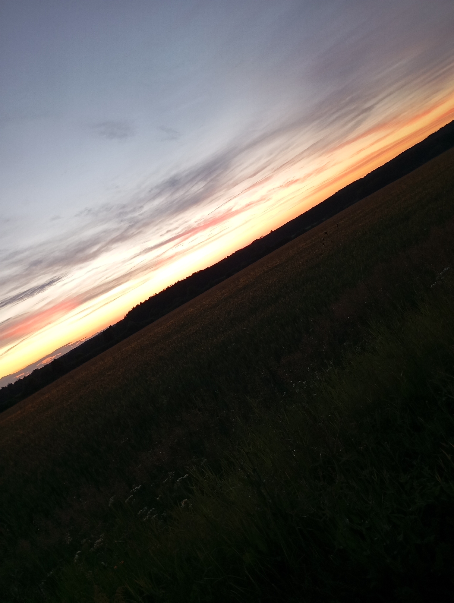 The image depicts a landscape with a diagonal orientation, featuring a field in the foreground and a sunset sky in the background. The field appears to be covered in dark vegetation, possibly grass or crops, with some lighter patches that could be wildflowers. A dark line, likely a treeline or a gentle slope of land, separates the field from the sky. The sky itself displays a gradient of colors typical of sunset, transitioning from a pale gray at the top left to vibrant bands of orange, pink, and yellow closer to the horizon. Wispy clouds are visible throughout the sky, streaked horizontally. The lighting suggests it is either dawn or dusk. The image is captured at an angle, giving a sense of depth and perspective to the scene. The overall impression is one of a tranquil rural or natural setting at the end of the day. No people or specific man-made structures are discernible in the image.