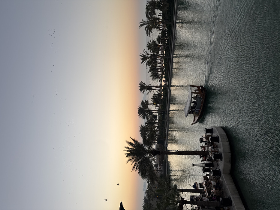 A canal with palm trees lining the banks is bathed in the light of dawn or dusk. The sky transitions from pale blue to a warm orange. A boat carrying passengers glides along the canal's calm surface, leaving gentle ripples in its wake. A concrete dock with bollards anchors the foreground, suggesting a departure point or marina. Birds are scattered throughout the sky.
