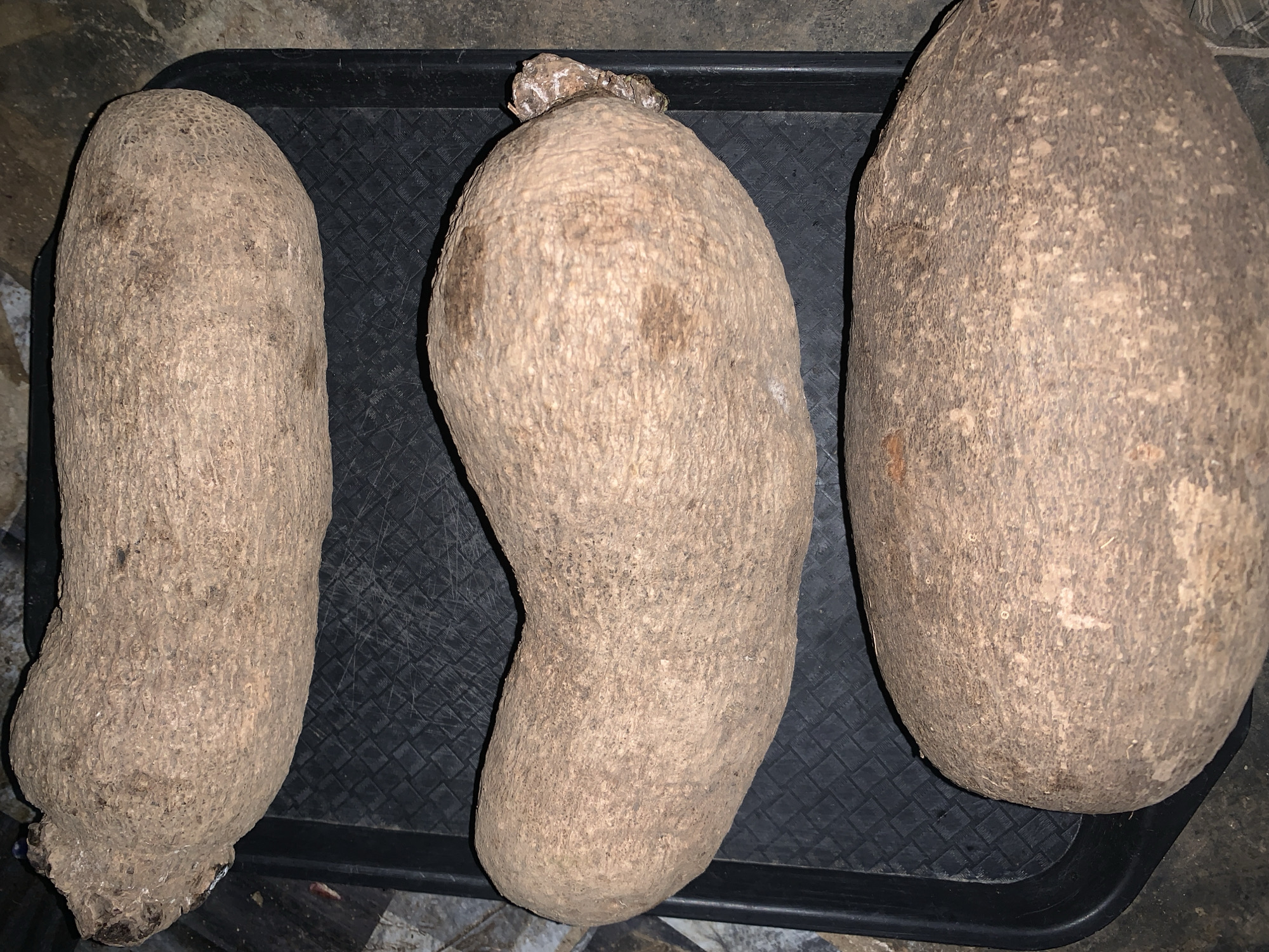Three yams are on a black tray with a textured surface. The yams are arranged horizontally from left to right. The leftmost yam is elongated and cylindrical. The central yam is kidney-shaped and has a truncated top with some dry material attached. The rightmost yam is the largest and most rounded. The tray is placed on a tiled surface, suggesting an indoor setting. The image appears to be taken in Rafin Par, Nigeria.