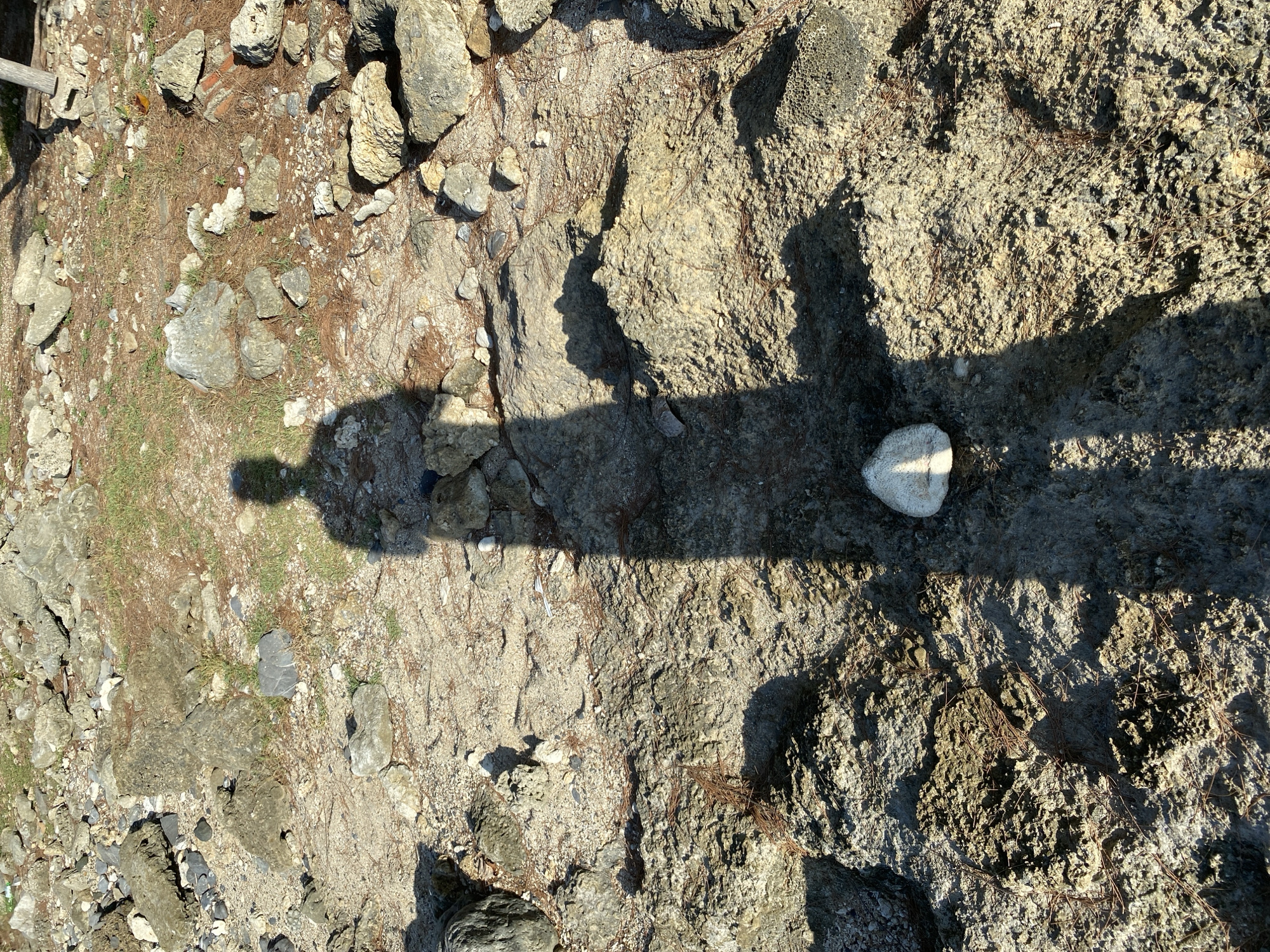 A long shadow of a person stands in the center of the image, cast across a rocky, sandy ground. The shadow's head is in the upper portion of the frame, and its feet extend down towards the bottom. The ground is covered with various sized rocks, some appearing to be coral or volcanic rock, with patches of dry grass and pine needles scattered throughout. A single white rock is positioned within the shadow of the person's legs. The lighting suggests it is daytime, with the sun casting a strong shadow. The environment appears to be an outdoor, possibly coastal, area in Monikeun, Indonesia, characterized by its rocky terrain and natural debris.