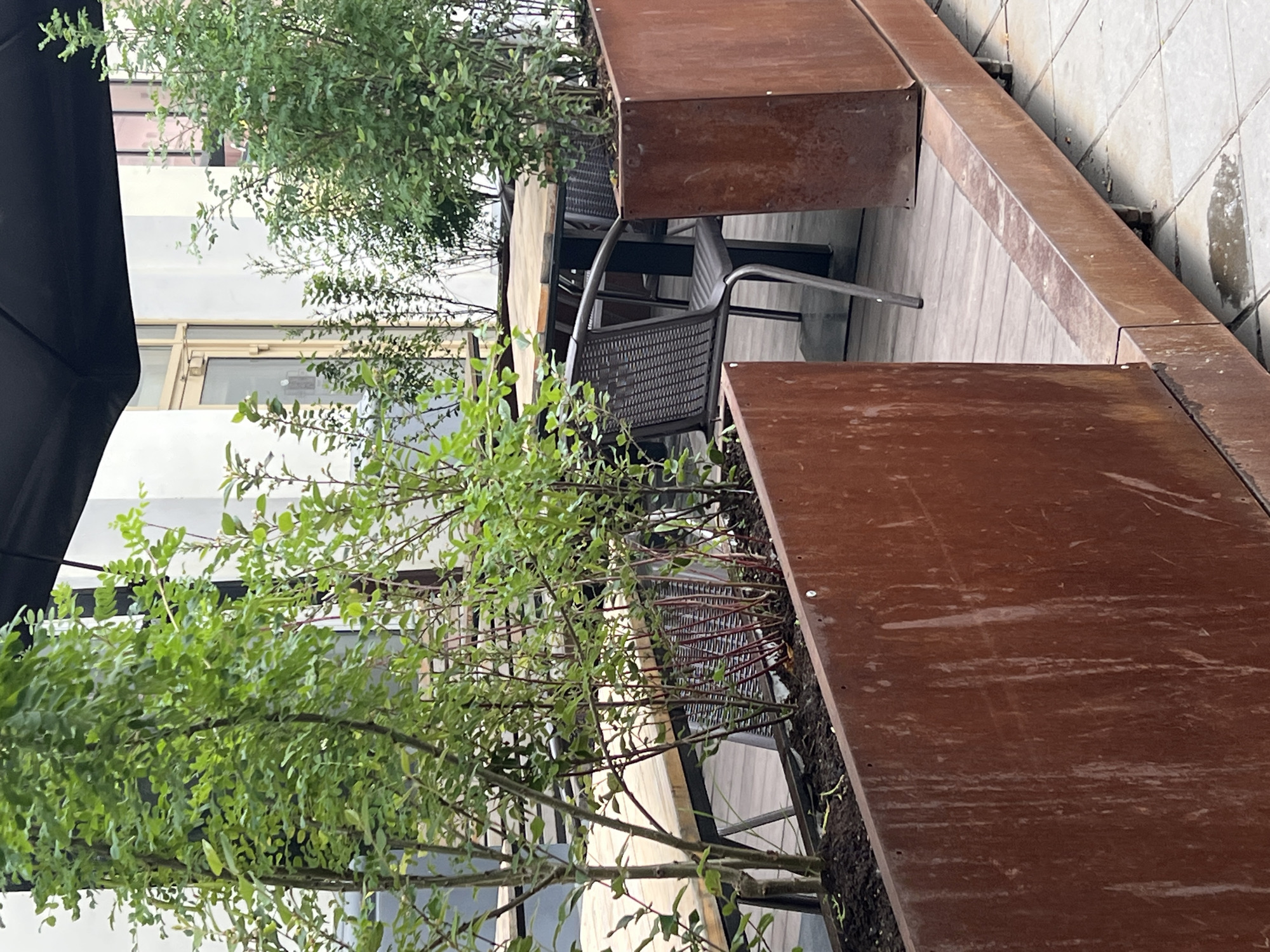 The image depicts an outdoor seating area, likely a cafe or restaurant patio, in Yekaterinburg, Russia. The foreground is dominated by large, rust-colored planters filled with lush green foliage. Behind these planters, a wooden table and chairs are visible, suggesting a dining or relaxation space. The setting appears to be on a paved surface, with some tiling visible. The overall impression is one of an urban outdoor space enhanced by greenery.