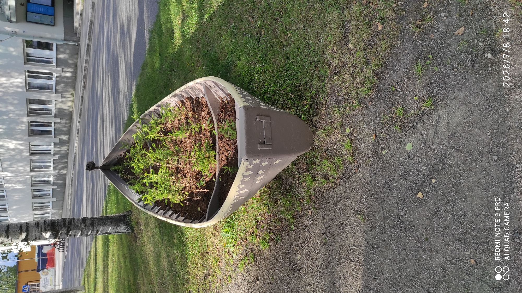 In Iisalmi, Finland, a weathered canoe filled with young saplings sits as a planter on a grassy patch adjacent to a paved walkway and a road. The canoe, painted a muted grey with a decorative pattern of light-colored shapes along its exterior, faces away from the viewer. The saplings are planted in dark soil, with their green foliage reaching upwards. Behind the canoe, a modern building with numerous windows lines the street. The scene suggests an urban setting where repurposed objects are used for decoration.