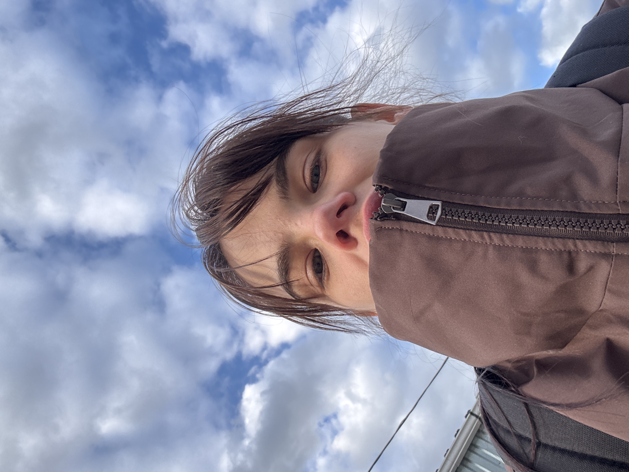 The image presents a close-up, low-angle portrait of a person looking directly at the camera, with the sky and clouds as the primary background. The subject's head is tilted, showing their right eye, part of their nose, and a section of their mouth, which is partially covered by the high collar of a brown jacket. Dark brown hair frames the face, appearing somewhat wind-blown or disheveled, with individual strands visible against the sky.
The person is wearing a brown, seemingly thick or padded jacket, with a prominent silver zipper and its teeth clearly visible along the right side of the frame. The jacket material has a slight sheen. The background consists of a bright blue sky filled with scattered white and light grey clouds, suggesting daytime. In the lower right corner, a glimpse of a dark, angular structure, possibly the edge of a roof or building, and a thin wire are visible, indicating an outdoor setting, potentially in an urban or suburban area like Rostov-on-Don, Russia.
The person's eye is open and focused intently on the camera, conveying a direct and neutral expression. No specific activity beyond posing for the photograph is evident. There is no visible text in the image. The unique angle and close crop give the image an intimate and somewhat disorienting quality.