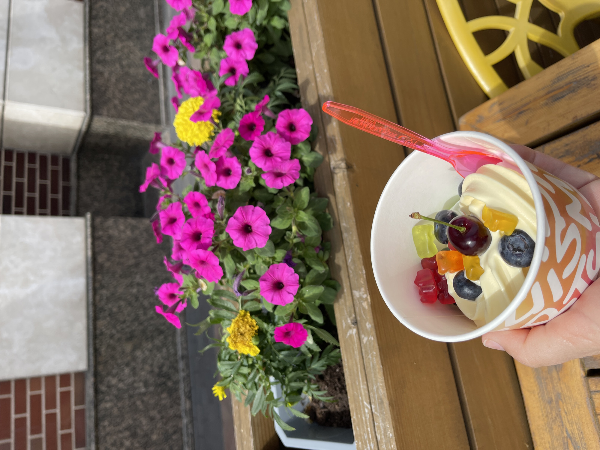A top-down shot shows a cup of frozen yogurt with gummy bears, blueberries, and a cherry, held by a hand, on a wooden surface with a yellow chair in the background. To the left is a planter with vibrant pink and yellow flowers. Beyond the planter, there are building features visible, including brickwork and gray stone. The location is Kaliningrad, Russia.