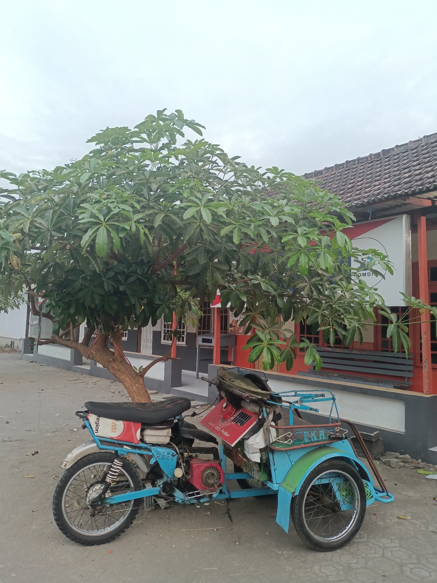 In the city of Badas, Indonesia, a three-wheeled motorcycle, painted in a combination of blue, green, and red, is parked on a dirt and pavement surface. The motorcycle has a red engine visible and a black seat. It is positioned next to a tree with large green leaves and a light brown trunk. Behind the tree, a building with red and white accents and a tiled roof is visible. The building appears to be a shop or office, indicated by a sign with red and white graphics and the text "OMDI". A dark gray bench is also present in front of the building. The sky is overcast.