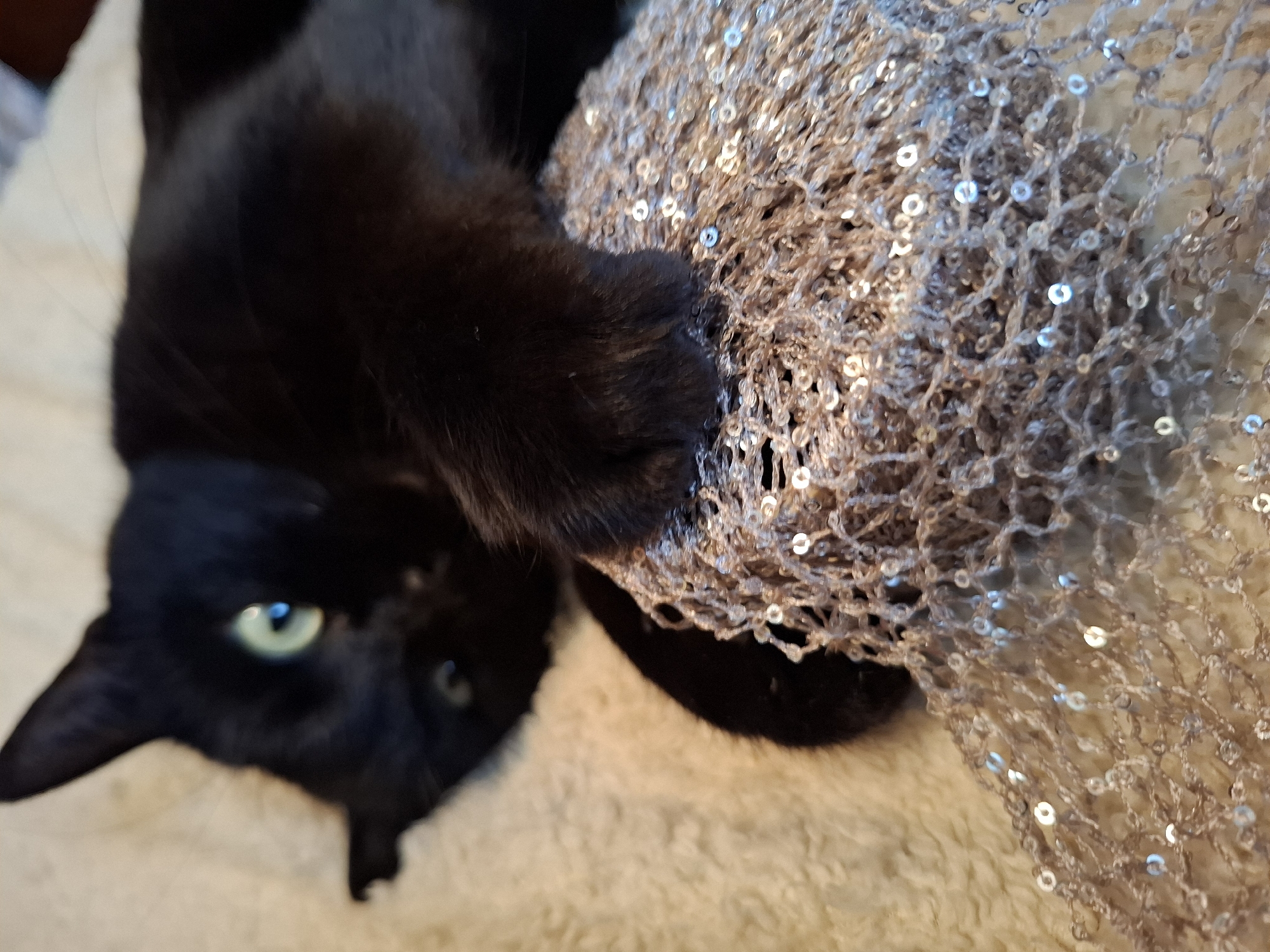 A black cat with green eyes is lying on a white, textured surface. The cat's head is in the lower left corner of the image, and its paw is resting on a sparkly, silver-colored net fabric. The scene appears to be indoors. There is no information in the image to indicate it is in Khlevnoye, Russia.