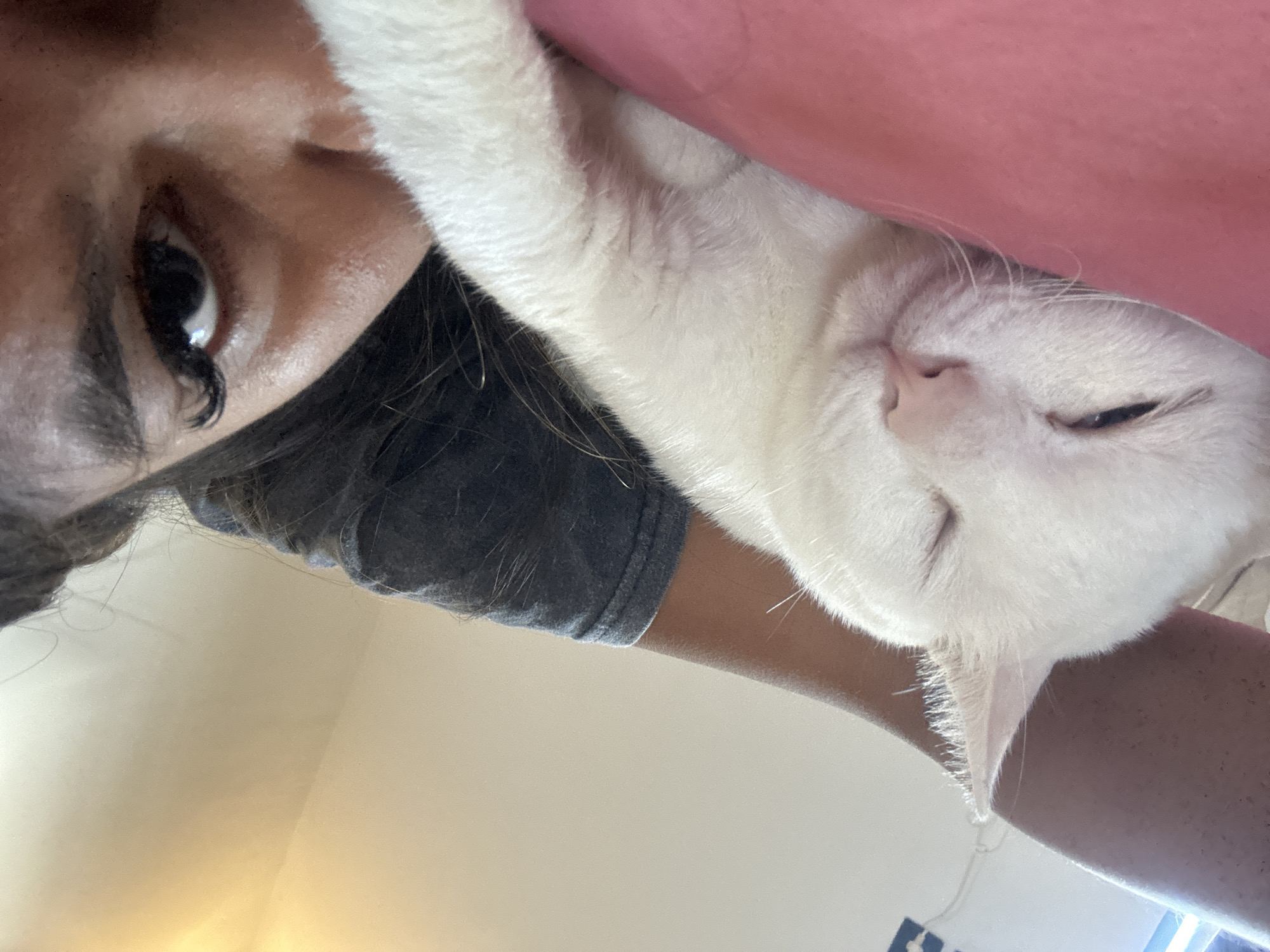 A close-up, low-angle shot shows a person and a white cat resting on a pink surface, likely a bed. The cat is nestled against the person's arm, with its eyes closed and head resting on the pink surface. The person's face is visible on the right side of the frame, with their right eye open and looking towards the camera. The background is a plain, light-colored wall. The lighting suggests an indoor setting, possibly a bedroom. The specific location in Denpasar, Indonesia, cannot be determined from the visual information provided in the image.