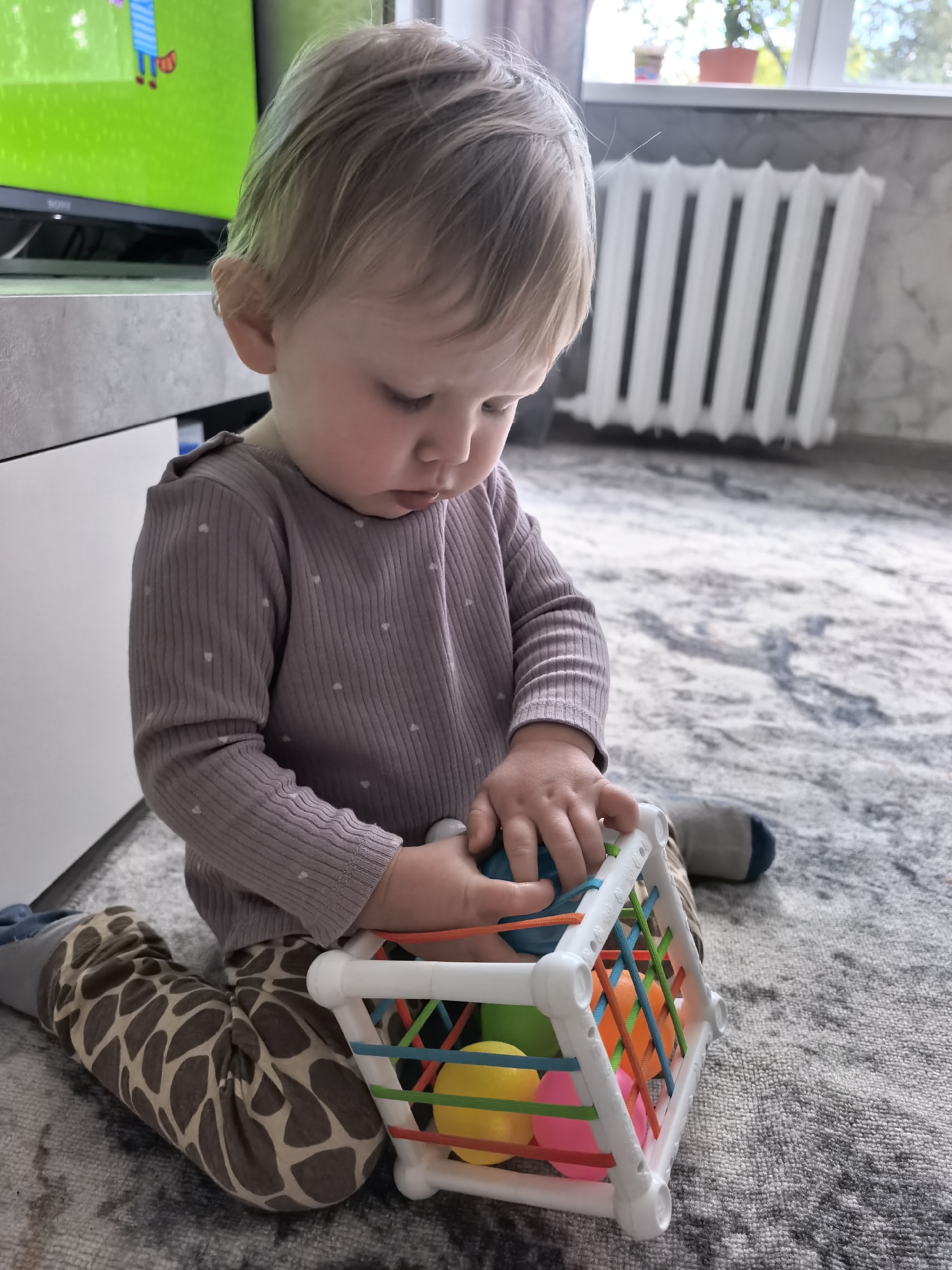 A young child is sitting on a grey carpet with a patterned rug. The child is wearing a purple long-sleeved shirt with small white hearts and patterned leggings that resemble a giraffe's print. The child is playing with a colorful geometric toy that has elastic bands and balls of various colors, including yellow, pink, and orange. The child's hands are engaged with the toy. In the background, a white radiator is visible against a wall. To the left, a television screen displays a bright green background with cartoon characters. The overall environment suggests an indoor setting, possibly a living room. The location is noted as Sterlitamak, Russia, although this information is not visually ascertainable from the image itself.