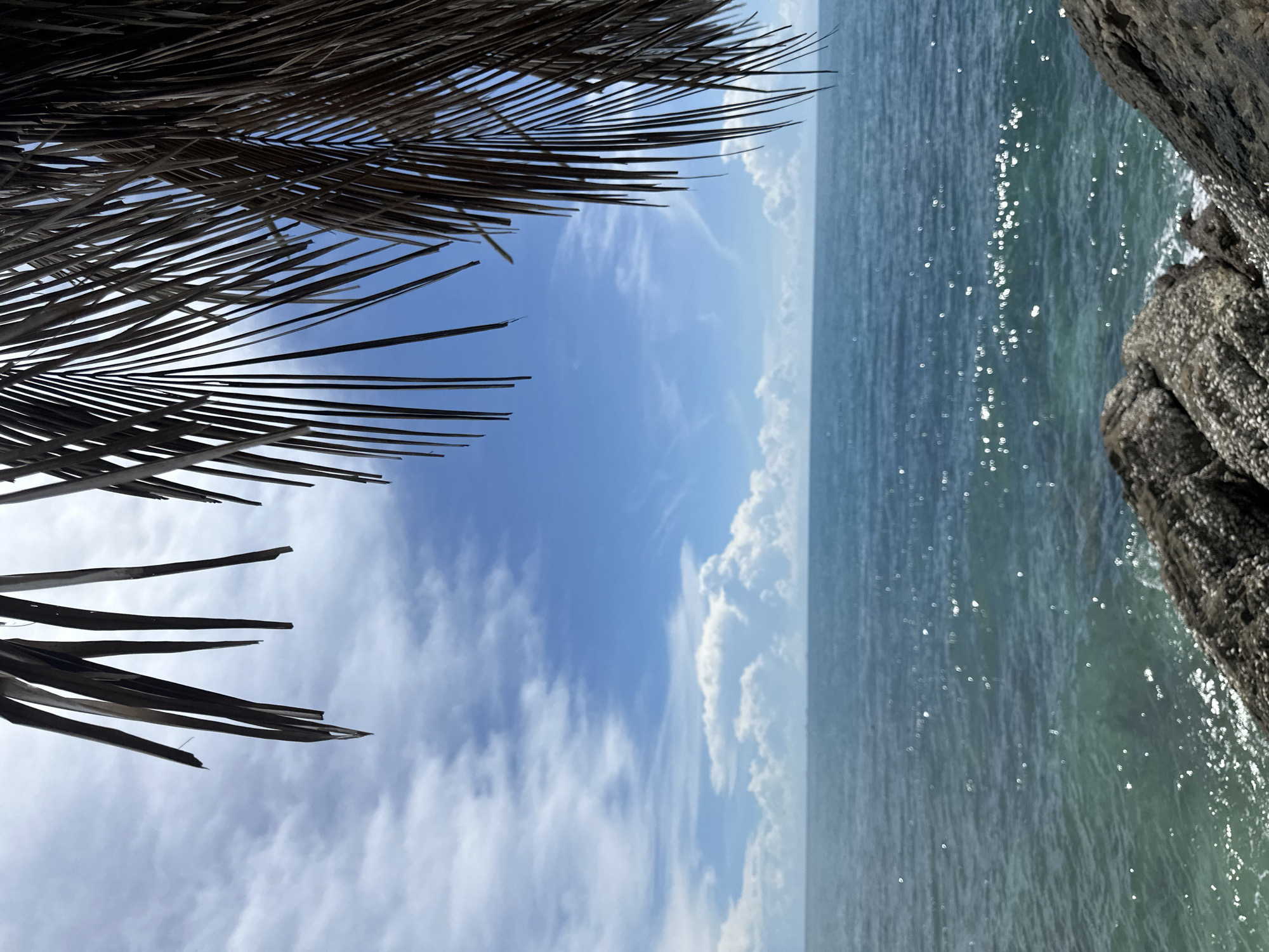 The image depicts a scenic view of the ocean and sky, framed by dried palm fronds in the foreground. The sky is a vibrant blue with scattered white clouds. The ocean is a deep turquoise with gentle waves reflecting sunlight. In the bottom right corner, rough, dark rocks covered in small white barnacles line the shore. The scene is devoid of any people or animals. The overall impression is one of a tropical, natural coastal environment, likely in ตำบลเกาะพะงัน, Thailand.