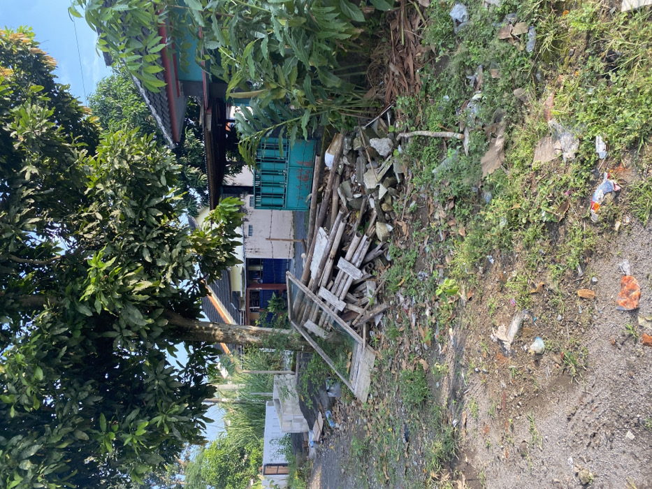 The scene is a dirt road in front of a residential building in Kecamatan Piyungan, Indonesia (latitude: -7.827, longitude: 110.482). A large tree with green leaves stands in the foreground. A pile of wooden debris is strewn on the ground next to the tree. The building is a two-story structure with a blue roof. A blue metal gate stands in front of the building. There is lush green vegetation growing around the area. There is no one visible in the image. The debris includes several long wooden planks and other assorted pieces of lumber. The ground is covered with dirt and debris, including leaves, twigs, and plastic trash. The environment is a residential area, likely a quiet neighborhood.