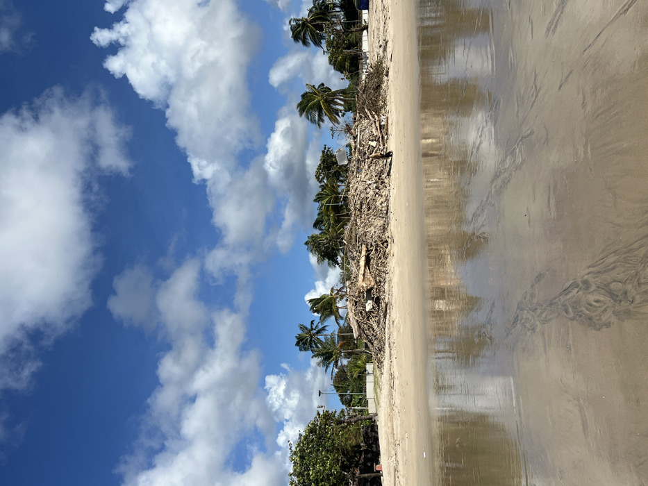 The image depicts a sunny day at a beach in Jimbaran, Indonesia, under a blue sky with scattered white cumulus clouds. The foreground consists of light brown sand, wet and highly reflective, showing distorted reflections of the sky and clouds. Dark, swirling patterns are visible within the wet sand. In the mid-ground, a vast, elevated mound of natural debris, primarily composed of logs, branches, and driftwood, stretches across the shoreline. This debris pile is substantial, its highest point reaching approximately the height of surrounding palm trees. One individual, wearing dark clothing, is visible standing near the base of this debris pile, slightly to the right of its center. In the background, behind the debris and wet sand, a line of various green trees, including numerous palm trees, delineates the transition from beach to land. Parts of white structures, possibly fences or buildings, are visible behind the trees on the left and right, along with utility poles or lights on the left.