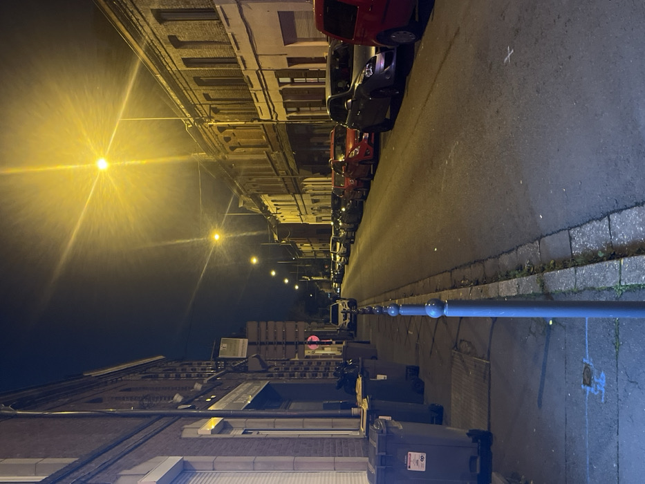 The image captures a quiet residential street at night, likely in an urban or suburban area such as Villeneuve-d'Ascq, France. The street is lined with multi-story buildings on both sides, their facades dimly lit by artificial light. Numerous cars are parked bumper-to-bumper along the right side of the street, stretching into the distance.
The primary light sources are several warm yellow streetlights, which emit strong, starburst-like lens flares, illuminating the asphalt road and parts of the buildings. A row of blue, ball-topped bollards runs along the right side of the street, separating the roadway from the sidewalk or a parallel parking area. On the left side of the street in the foreground, dark grey trash bins are visible on the sidewalk; one features a white label with the number "8" prominently displayed.
No people are visible, contributing to the tranquil and deserted atmosphere of the night scene. The sky is dark and clear, indicating fair weather. In the distance, a red circular sign with a white horizontal stripe, typically indicating "no entry" or a similar traffic restriction, can be vaguely discerned. White 'X' markings and some blue lines are visible on the asphalt in different sections of the road. The architecture and parked vehicles are consistent with a European setting.