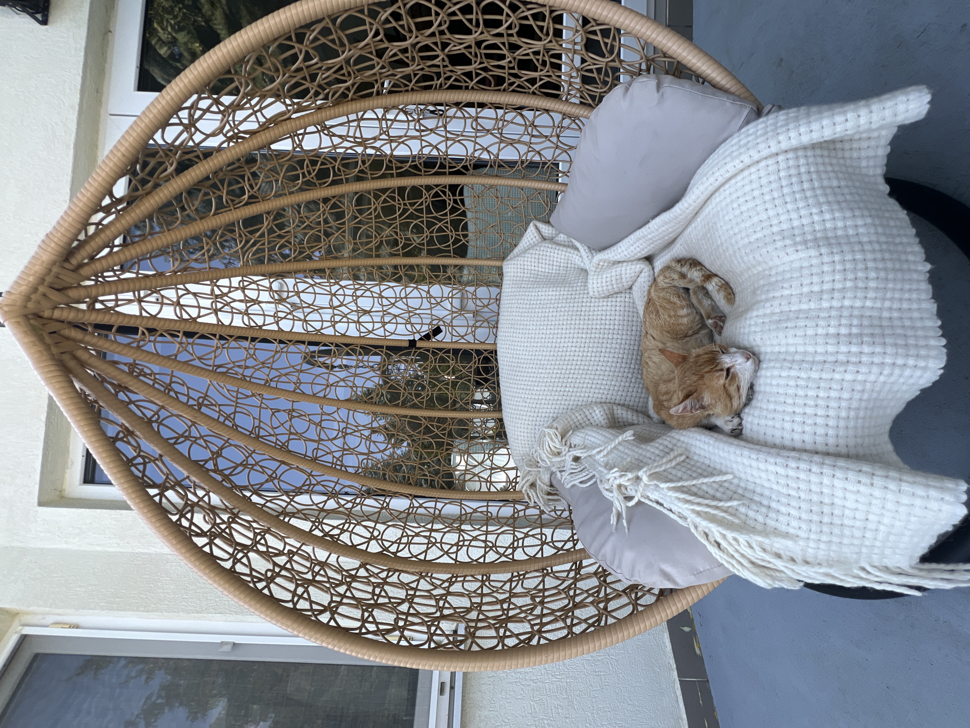 An orange tabby cat sleeps peacefully on a white woven blanket in a hanging wicker chair. The chair is located on a patio with a grey floor, and a white textured wall and windows are visible in the background. The scene is set in Fontanka, Ukraine.