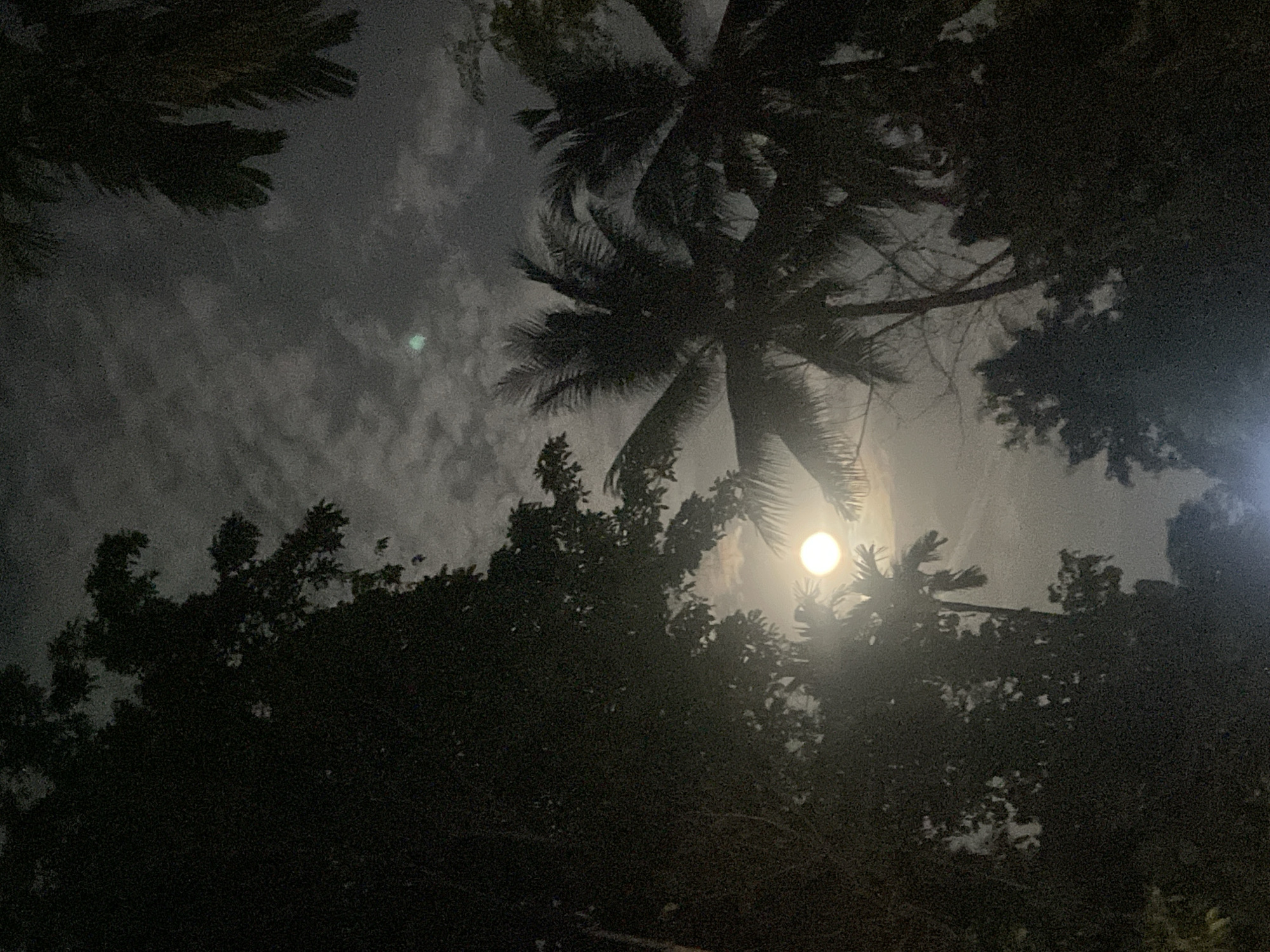 The image captures a night scene in Seukeumbrok Beurabo, Indonesia, dominated by dark silhouettes of trees and palm fronds against a cloudy, moonlit sky. The full moon is prominently visible, emitting a bright, diffused light that illuminates the clouds and casts a soft glow. Some of the tree foliage, particularly palm leaves, is silhouetted against the sky. The overall impression is of a tropical night with dense vegetation partially obscuring the view of the moon and sky. No people or specific structures are discernible in the image.