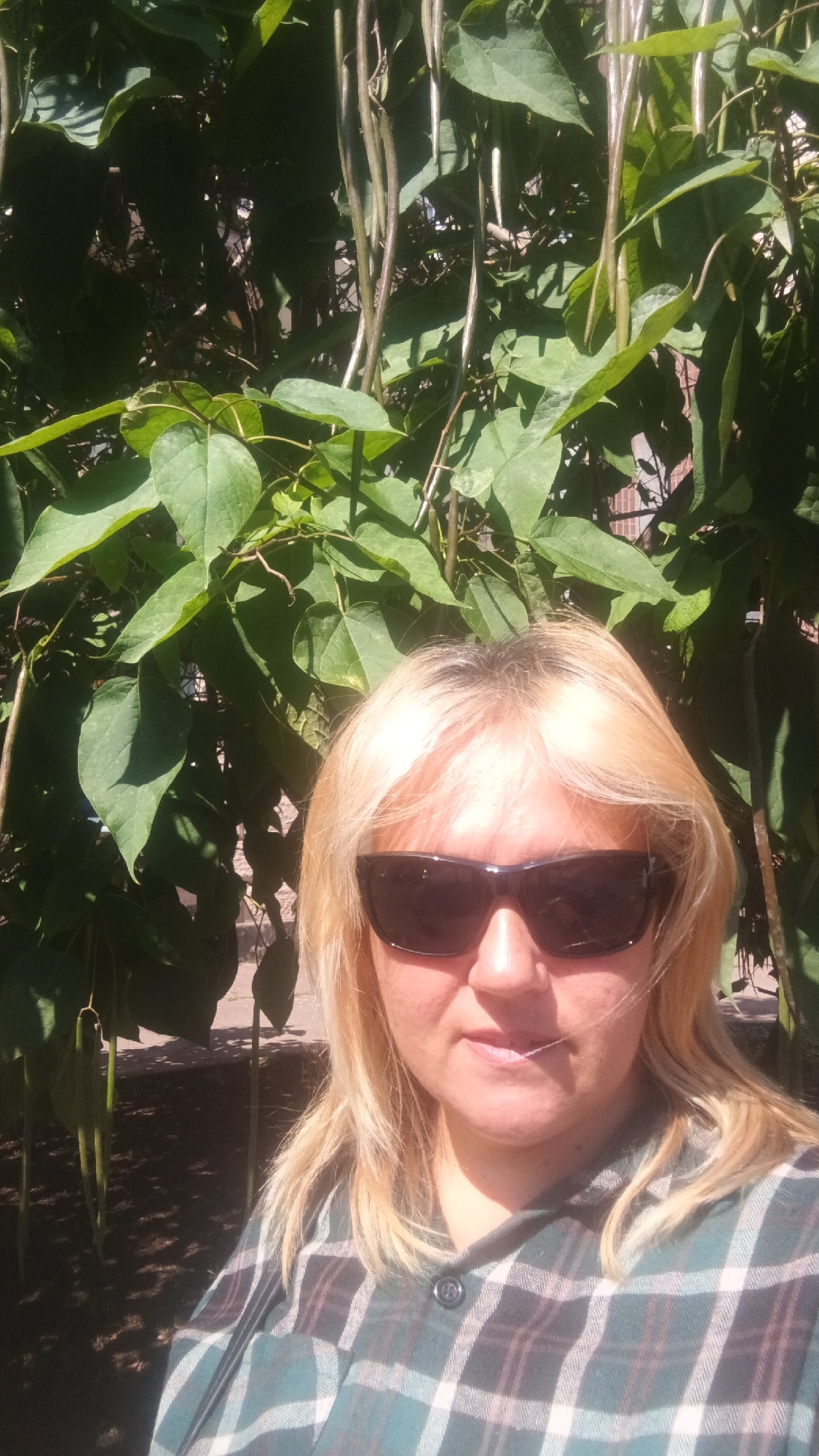 A medium shot selfie shows a woman with blonde hair and dark sunglasses posing in front of a tree with large green leaves and hanging seed pods. She is wearing a plaid shirt with green, black, and white squares. The background is out of focus and appears to be an outdoor setting with dappled sunlight. The image is a personal photograph.