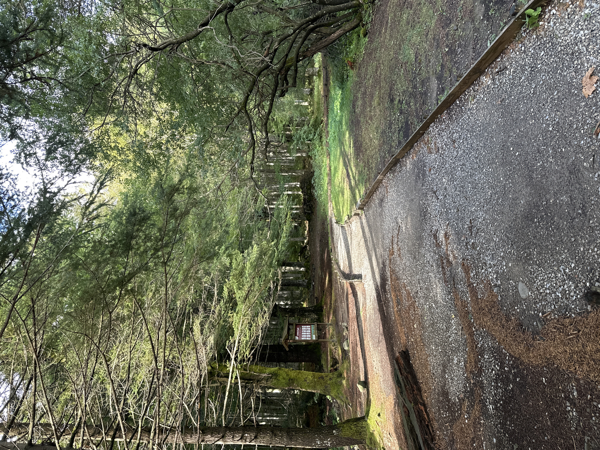 The image depicts a forest path in the city of Corniglio, Italy. The path is made of gravel and is bordered by a wooden plank on the right. Tall trees with green foliage line the path, with sunlight filtering through the branches. On the left side of the path, there is a wooden signpost with information displayed on it, and some large rocks. The ground around the path is covered with soil, gravel, and fallen leaves. The overall scene suggests a serene natural environment, likely a park or a hiking trail within Corniglio.