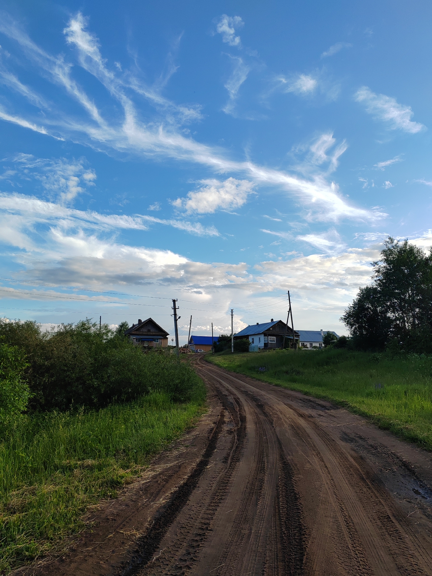 A dirt road winds through a rural landscape under a bright blue sky with wispy white clouds. On the left, thick green bushes line the road. Further in the distance, several houses with wooden siding and dark roofs are visible. A single utility pole stands near the houses. On the right, a dense green tree stands tall, and beyond it, more green grass covers the rolling terrain. The road shows clear tire tracks, indicating recent vehicle traffic.