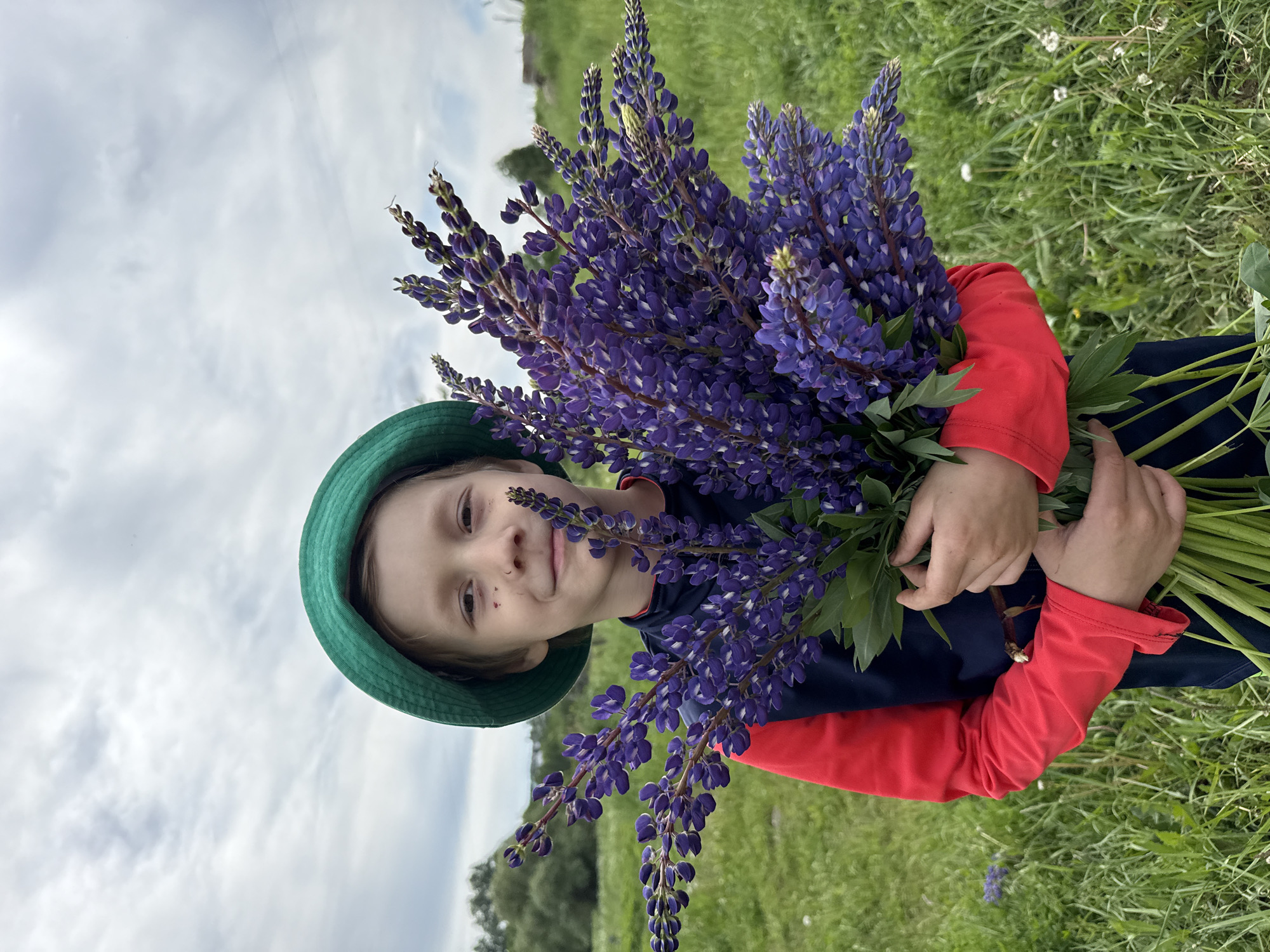 A vertically oriented image captures a young child, likely a boy, holding a large, vibrant bouquet of purple lupine flowers. The child is positioned centrally in the frame, looking towards the viewer with a gentle, contented smile. He wears a green bucket hat, a red long-sleeved shirt, and a dark blue or black undershirt.
The impressive bouquet of purple lupines, dense with numerous flower spikes, is held by both of the child's hands against his chest. Fresh green leaves and stems are visible below the blossoms.
The setting is an expansive grassy field, suggesting an outdoor natural environment. The grass is green and appears somewhat tall, with hints of other small wildflowers interspersed within. Above the field, a soft, diffused light emanates from an overcast or heavily cloudy sky, which dominates the upper portion of the background. A faint line of trees or distant vegetation can be seen on the horizon. The scene evokes a feeling of peacefulness and connection with nature, possibly captured in Уральское, Russia. There is no visible text in the image.