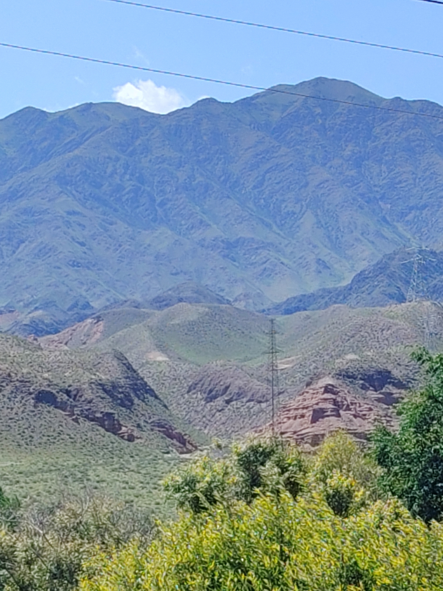 The image depicts a panoramic view of a mountainous landscape with a clear blue sky. In the foreground, lush green foliage and trees are visible. The mid-ground features rolling hills with sparse vegetation and rocky outcrops, displaying shades of green and brown. In the distance, a large mountain range dominates the scene, with its slopes covered in a mix of green and muted tones, suggesting varied vegetation or terrain. Two tall, lattice-like electrical towers are present in the mid-ground, indicating the presence of power infrastructure. A thin power line stretches across the upper portion of the image, parallel to the horizon. The overall impression is one of a natural, undeveloped environment with some human-made elements. The location is not identifiable from the visual information provided.